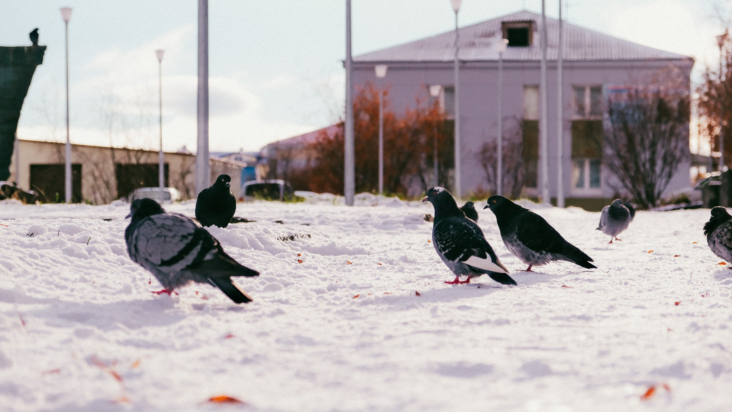 Пейзажи. Фотография и видео г. Анадырь Ильнур Шакиров