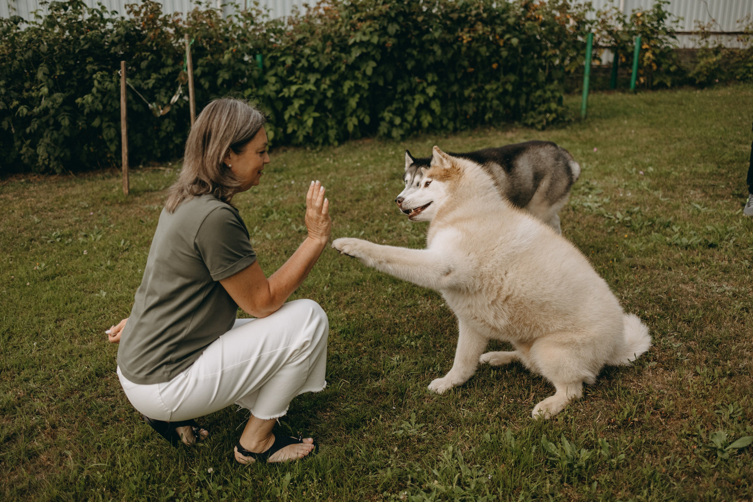 Дом у реки. Фотограф — Анималист | Санкт-Петербург