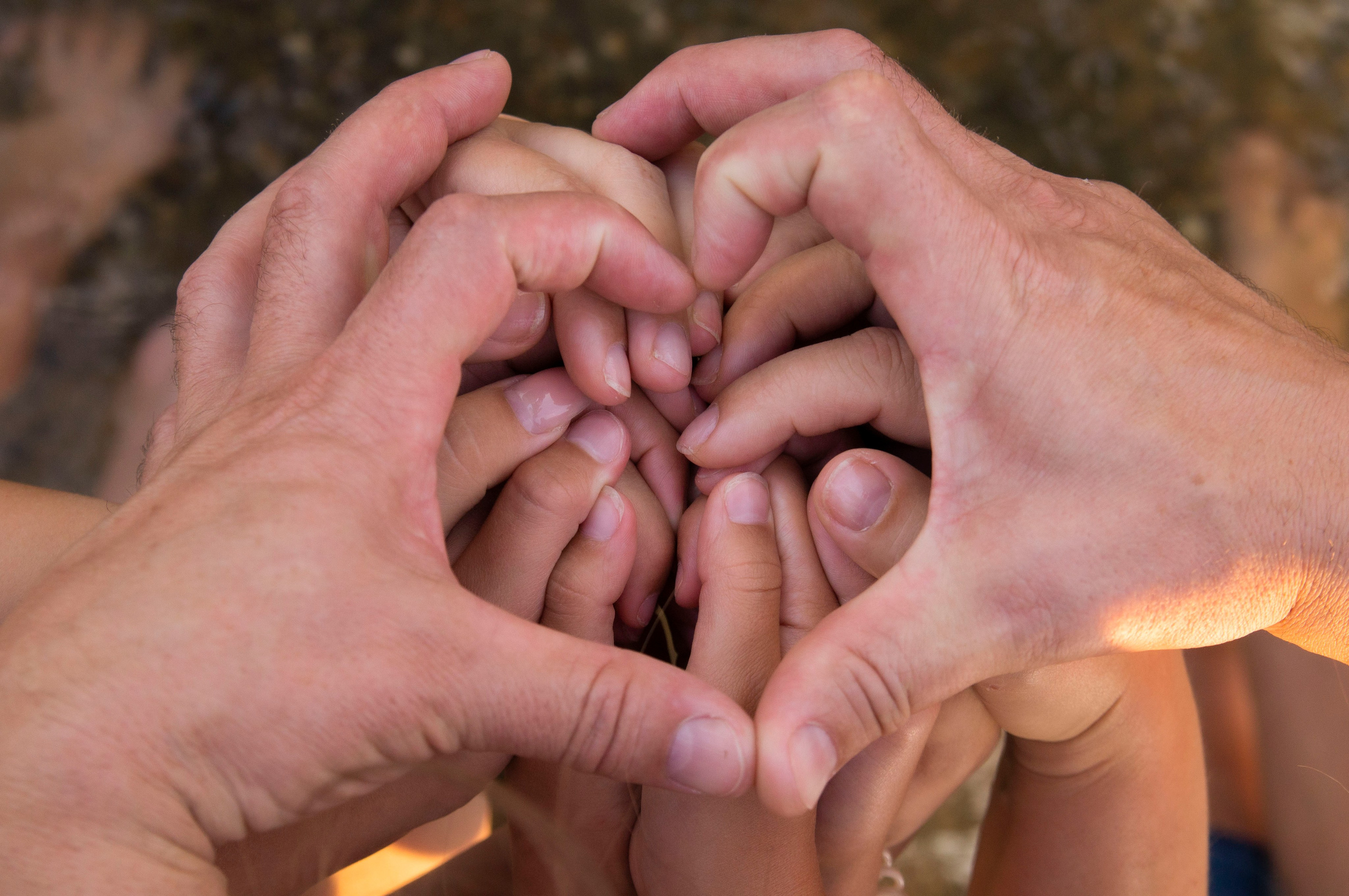 Олеся, Александр, Ева, Яра и Кира. Фотограф в Новосибирске Катя Крыловская