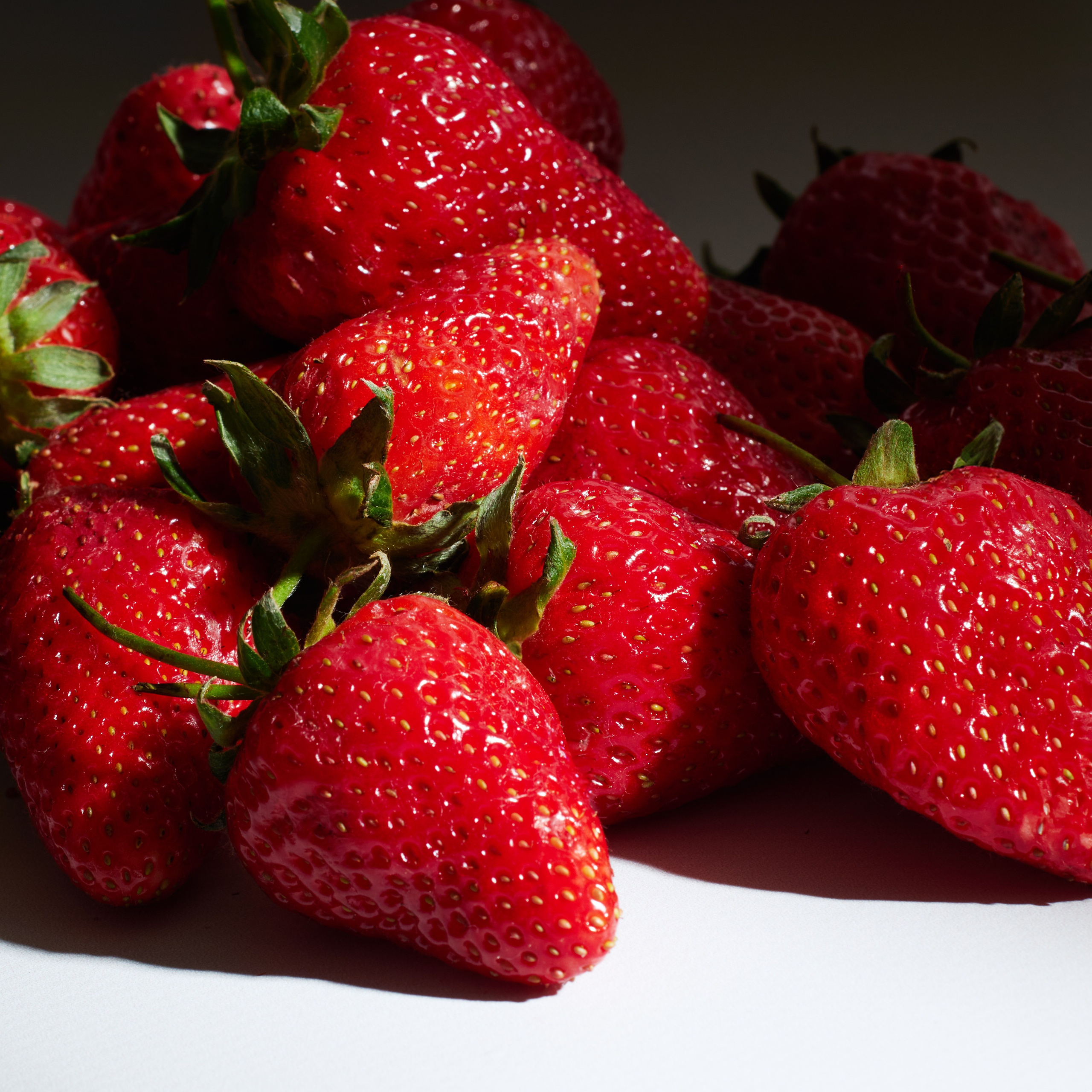 food фотография Великий Новгород