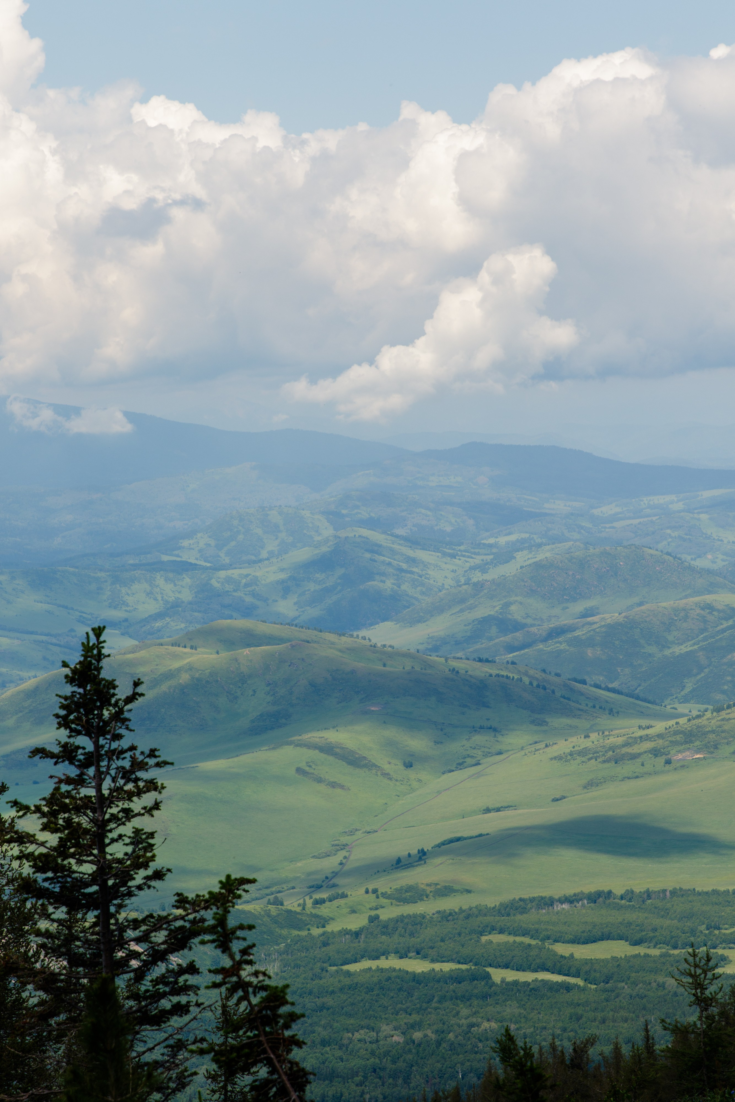 Казахстан. Фотограф Кирилл Мешков Кемерово