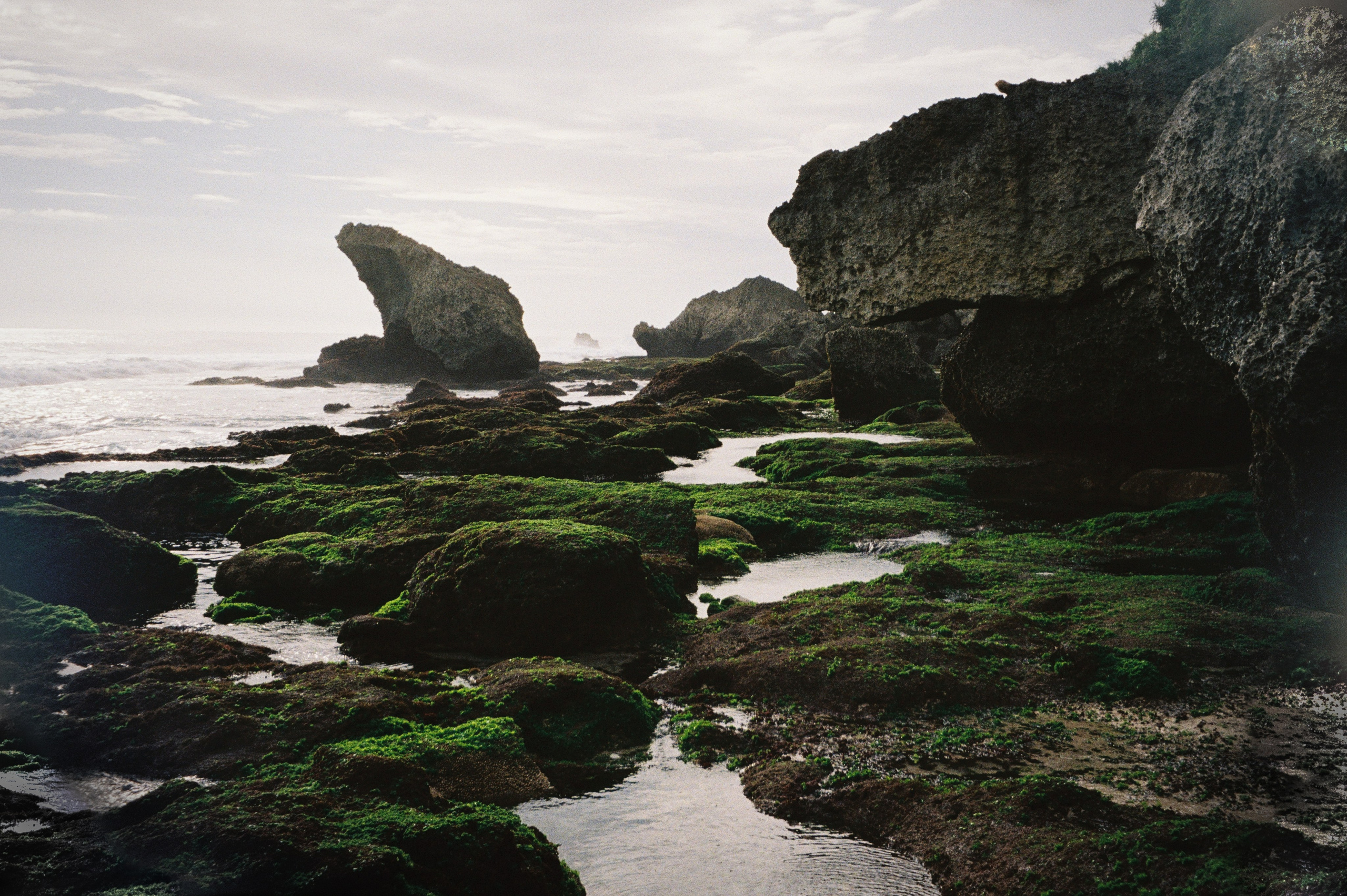 BALI. Любовь Моргасова [LU SPRING]: Фотограф и куратор