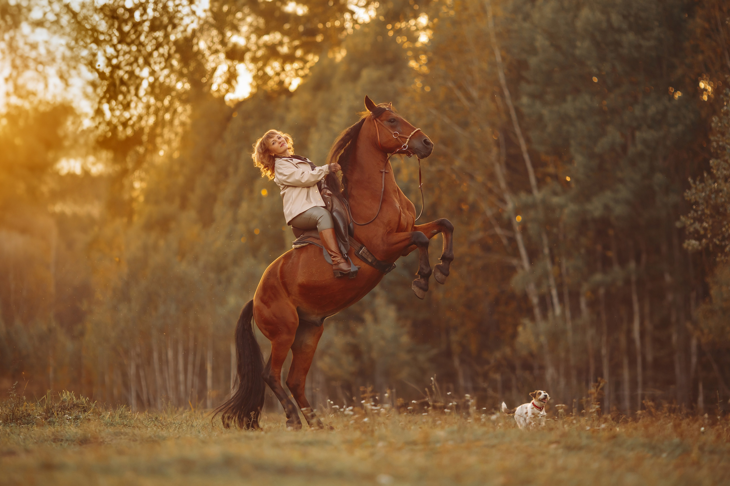 Для фотографов. Анна Молчанова конный фотограф в Тюмени | фотосессии с лошадьми Тюмень