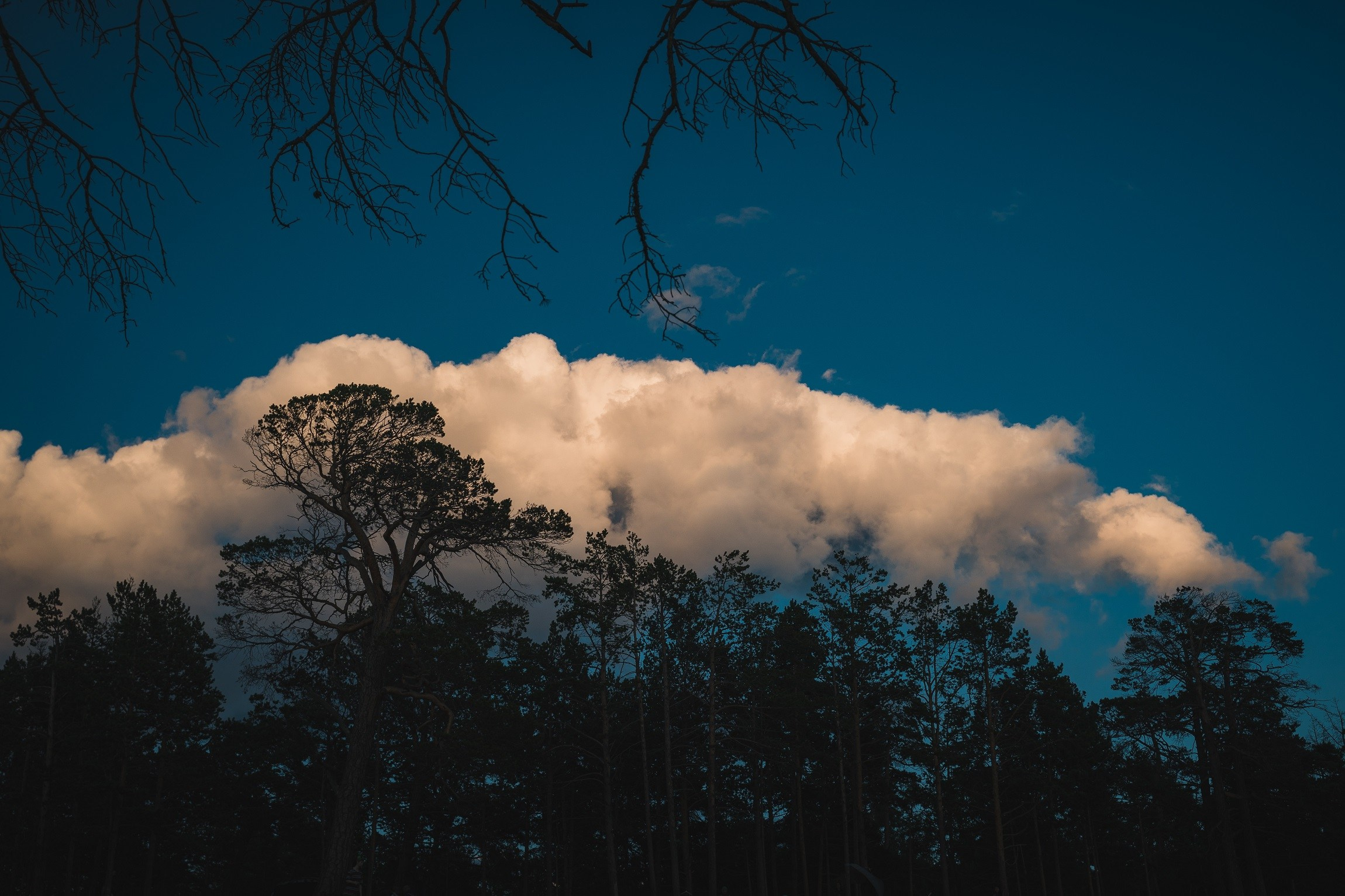 Байкал. ББТ, Ольхон и Аршан. Фотограф в поход и восхождение на Эльбрус Игорь Косарев