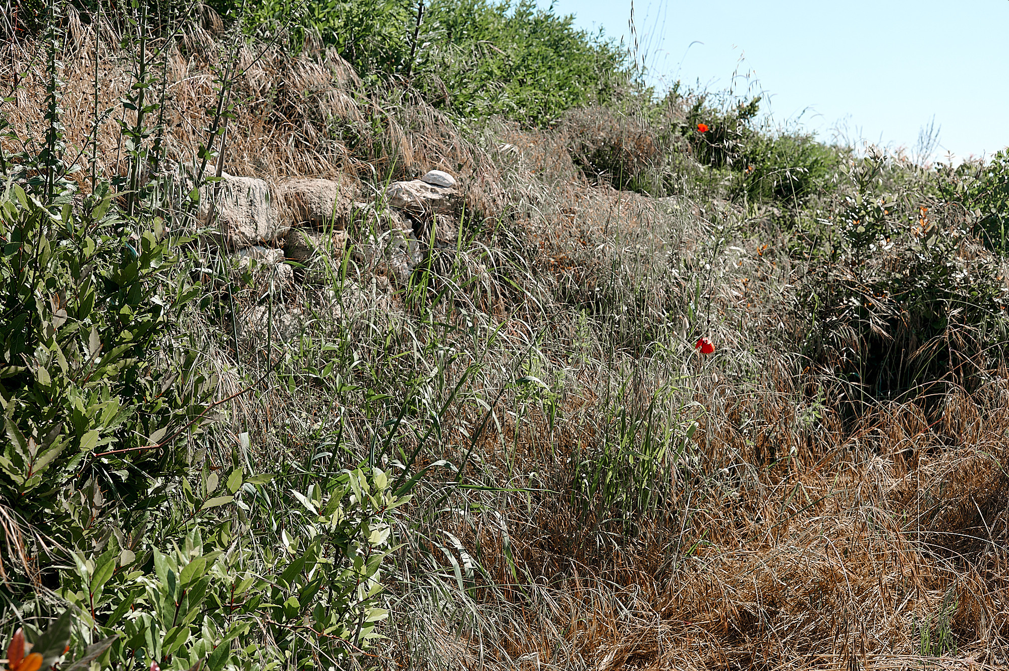 Side, Turkey, April 2023. Фотографии отовсюду и обо всем