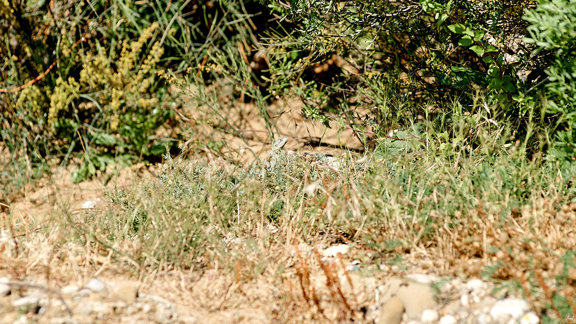 Side, Turkey, April 2023. Фотографии отовсюду и обо всем