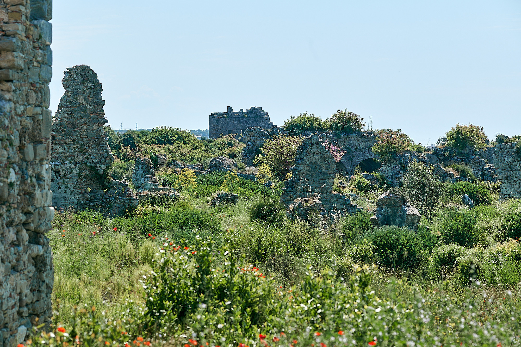 Side, Turkey, April 2023. Фотографии отовсюду и обо всем