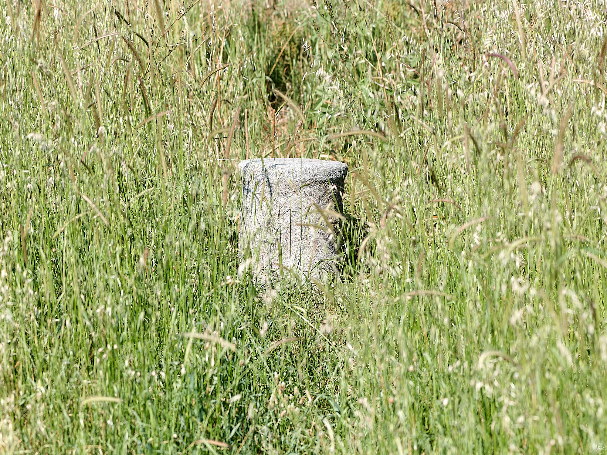 Side, Turkey, April 2023. Фотографии отовсюду и обо всем