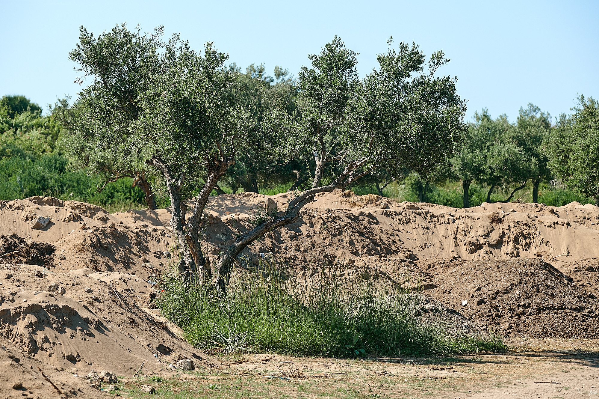 Side, Turkey, April 2023. Фотографии отовсюду и обо всем