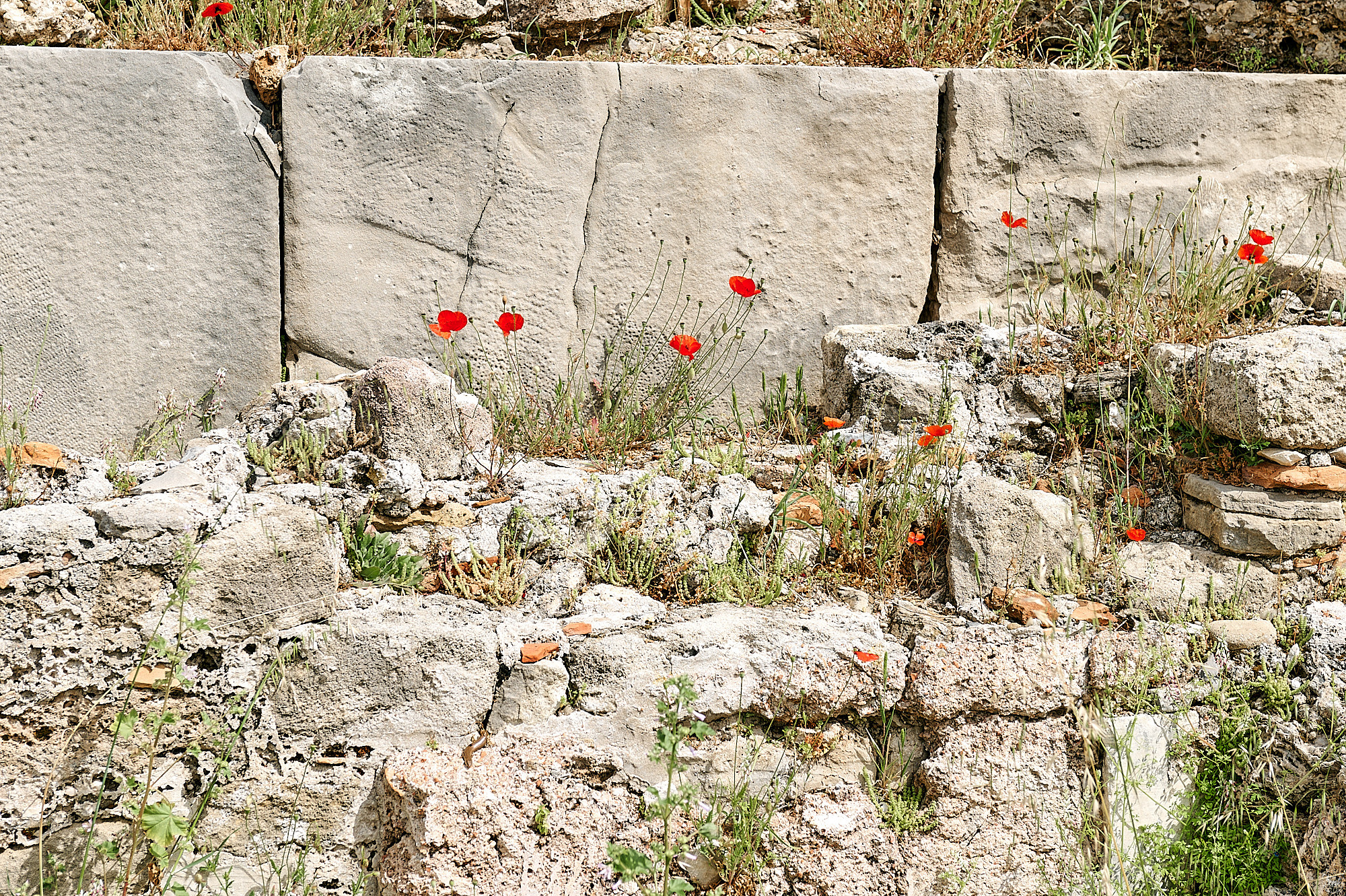 Side, Turkey, April 2023. Фотографии отовсюду и обо всем