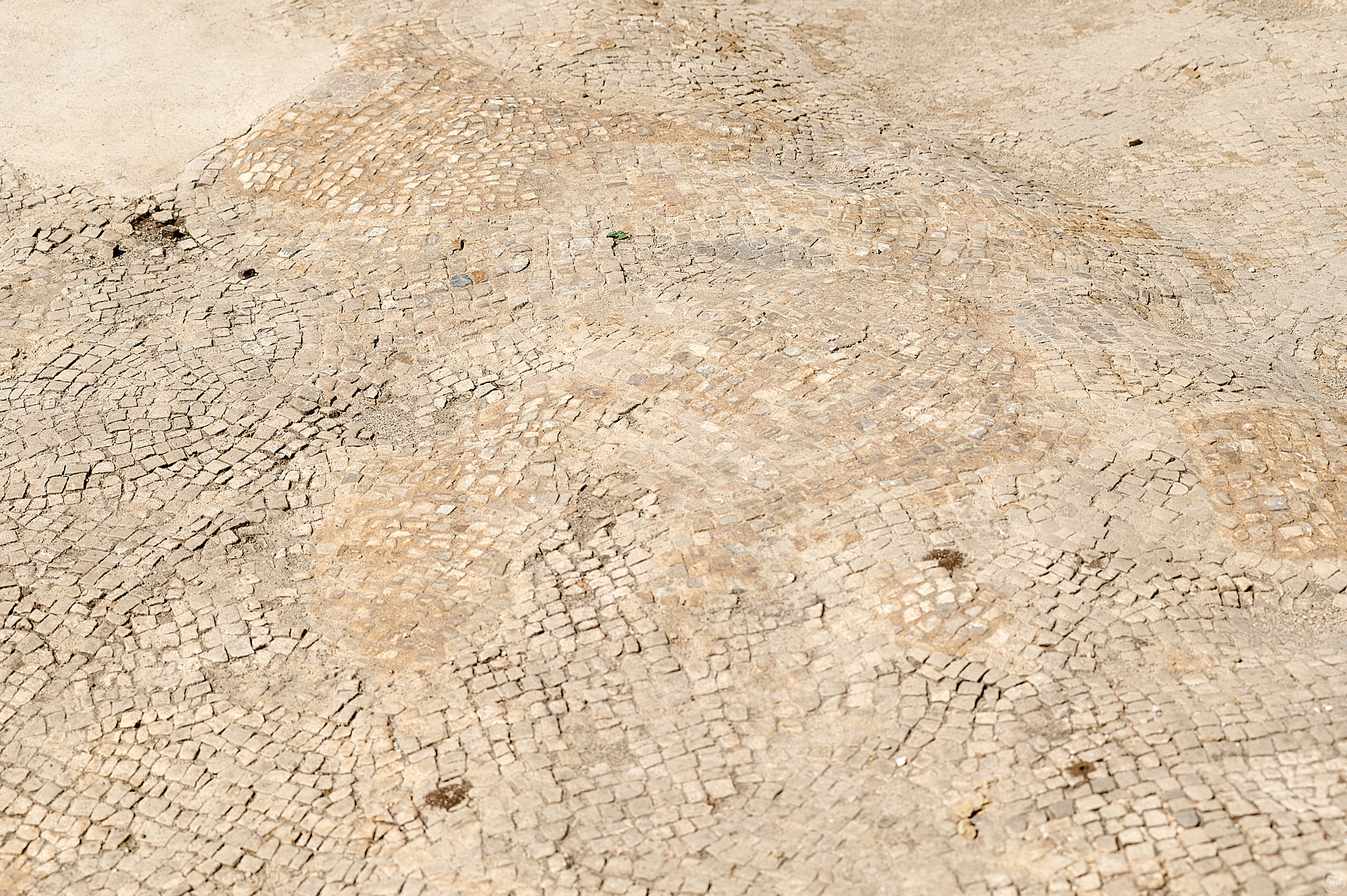 Side, Turkey, April 2023. Фотографии отовсюду и обо всем