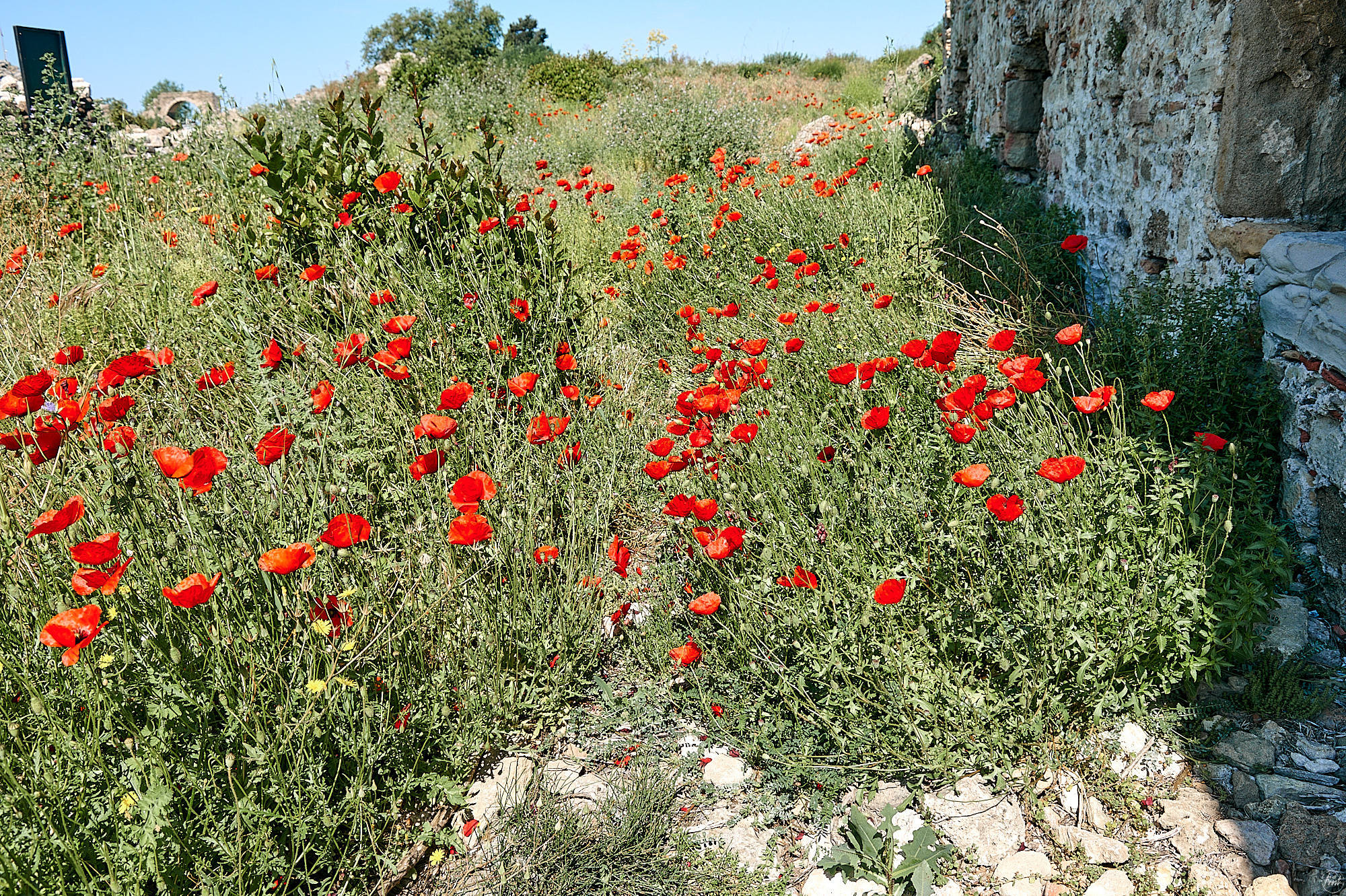 Side, Turkey, April 2023. Фотографии отовсюду и обо всем