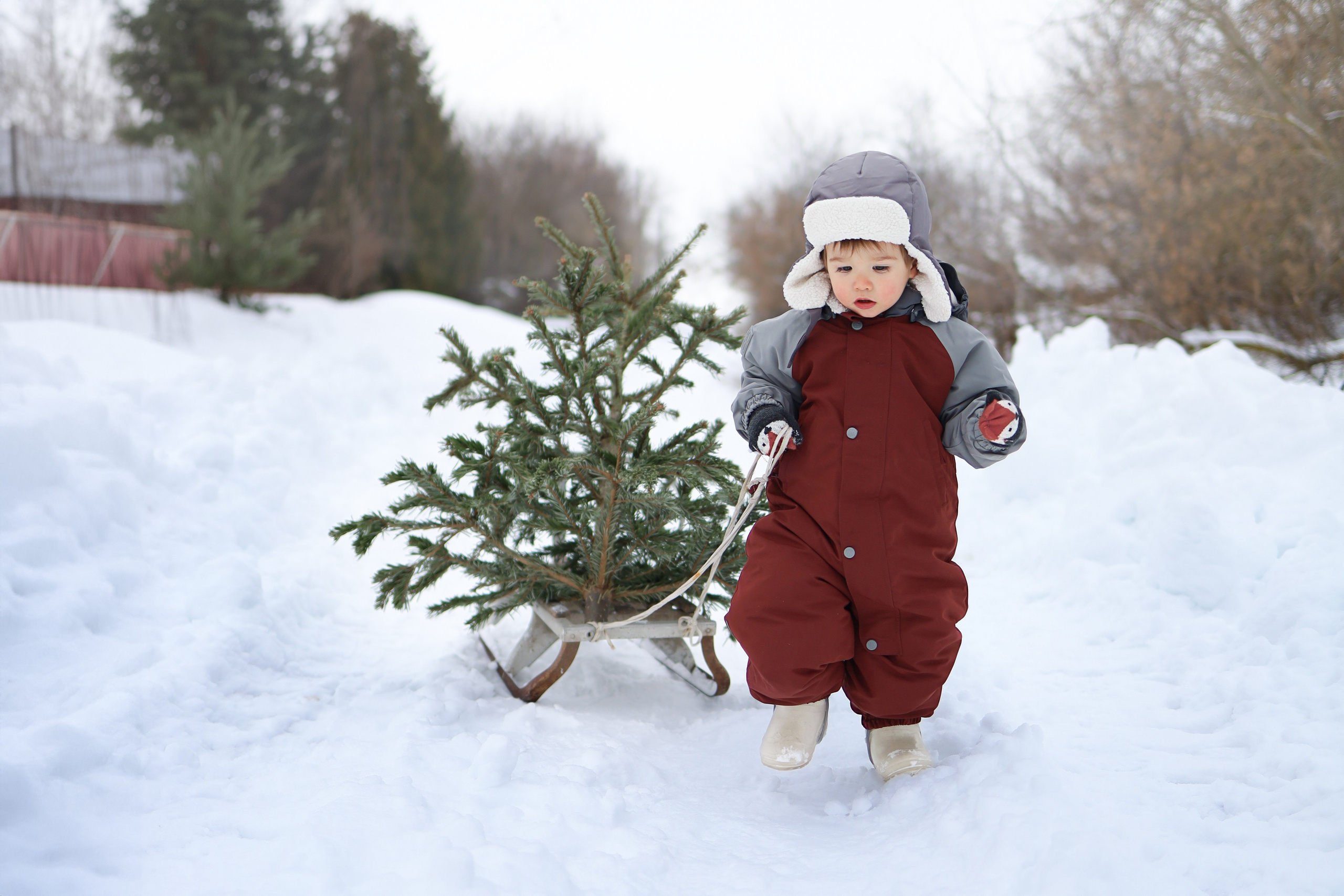 Галерея работ. Семейный и детский фотограф Рядчикова Екатерина Москва
