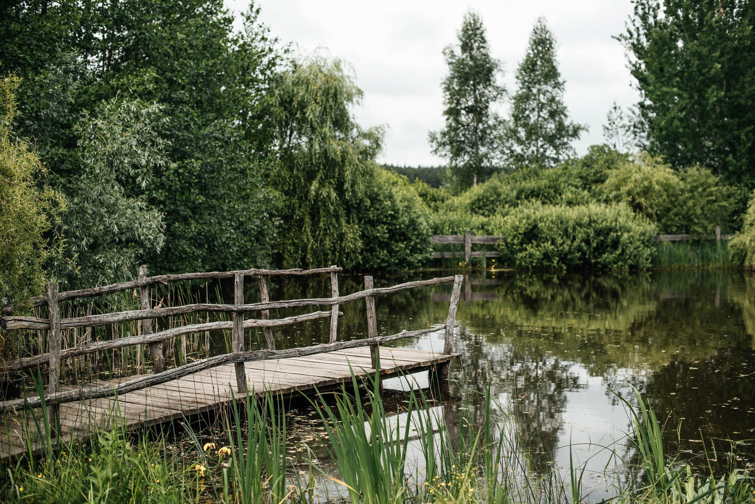 Артем и Альбина. Фотограф Екатерина Бочарникова