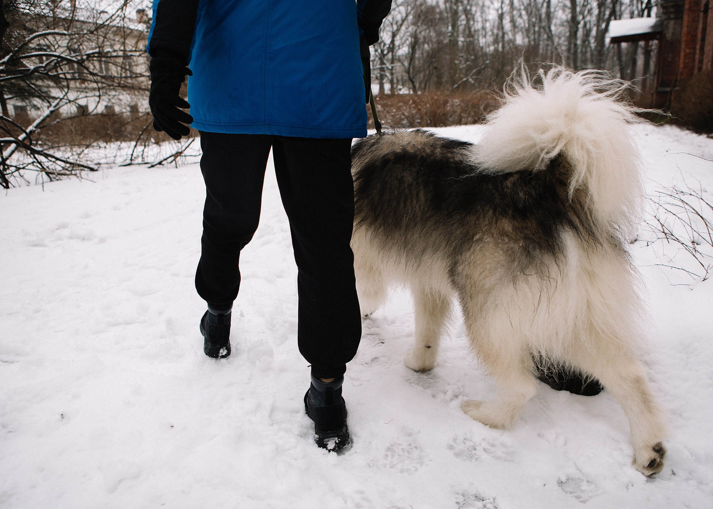 Ольга. Семейный и портретный фотограф в Санкт-Петербурге