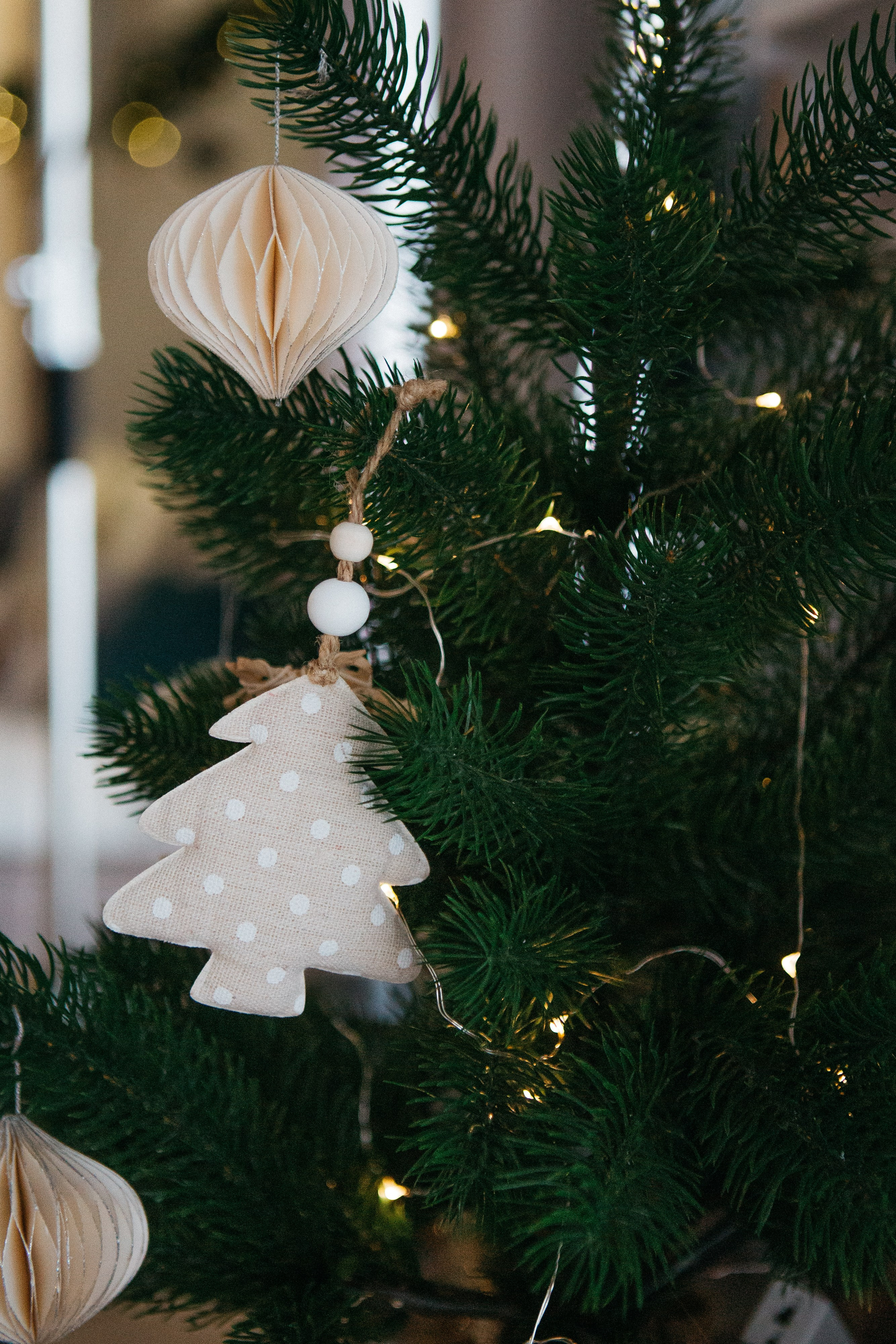 Филатовы. Семейный и портретный фотограф в Санкт-Петербурге