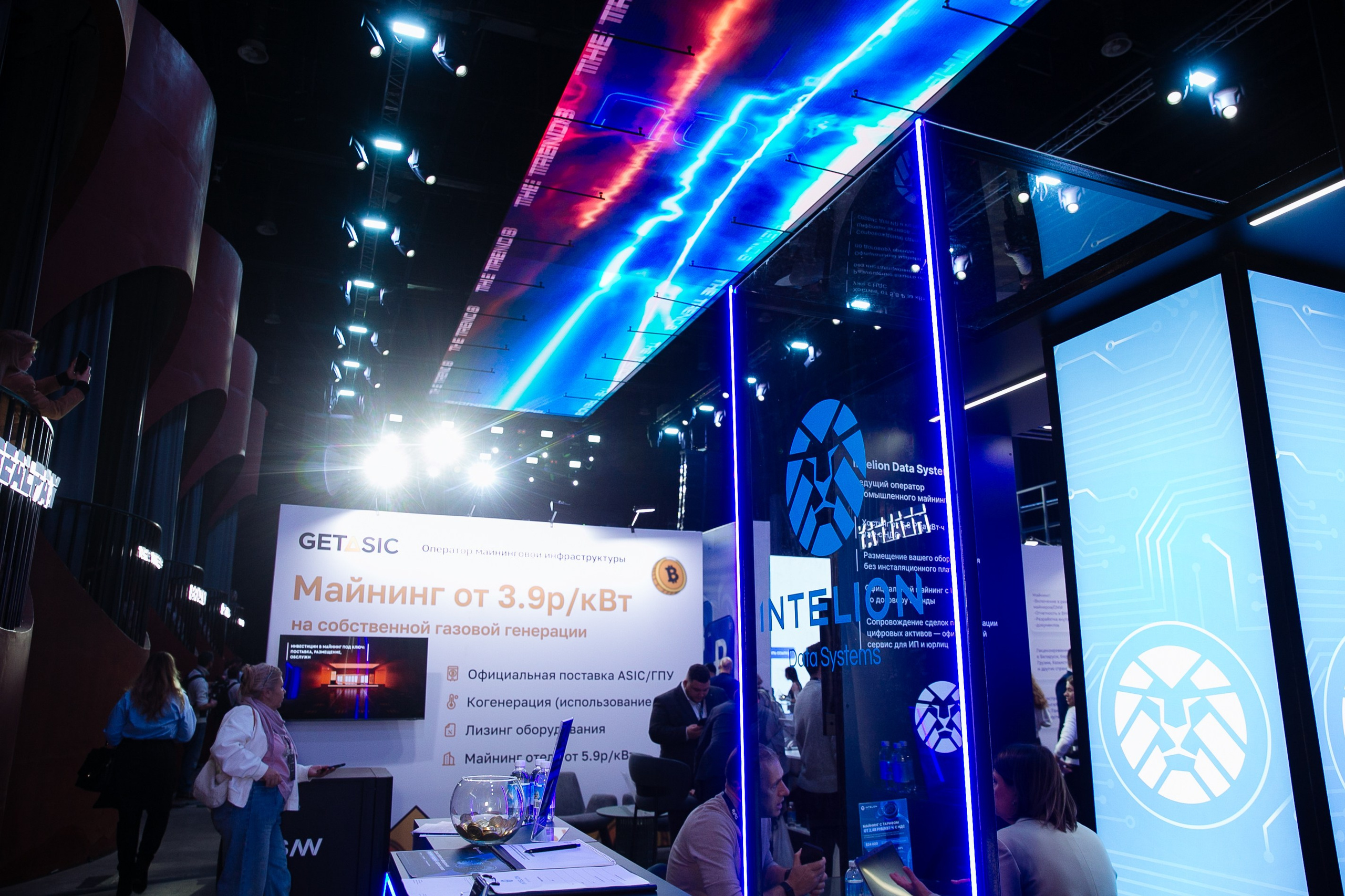 THE TRENDS. Фотограф в Москве