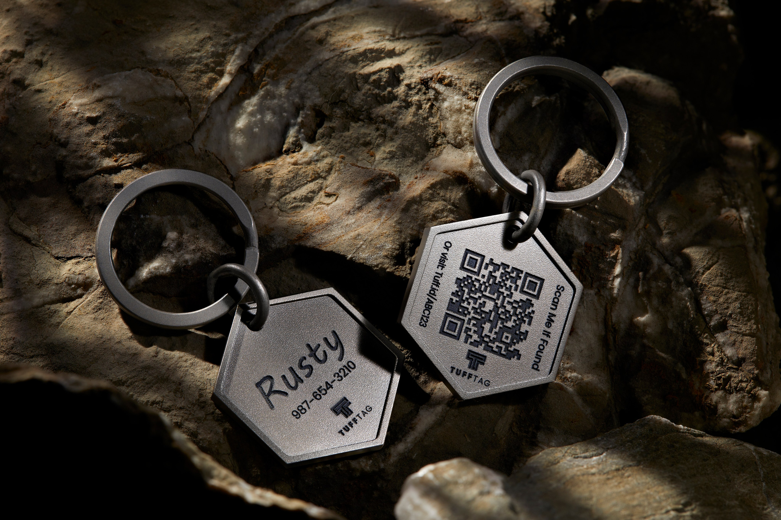 Advertising shooting with animals. Pets in advertising. Dog photographer Averianova Anna — Art photography of dogs