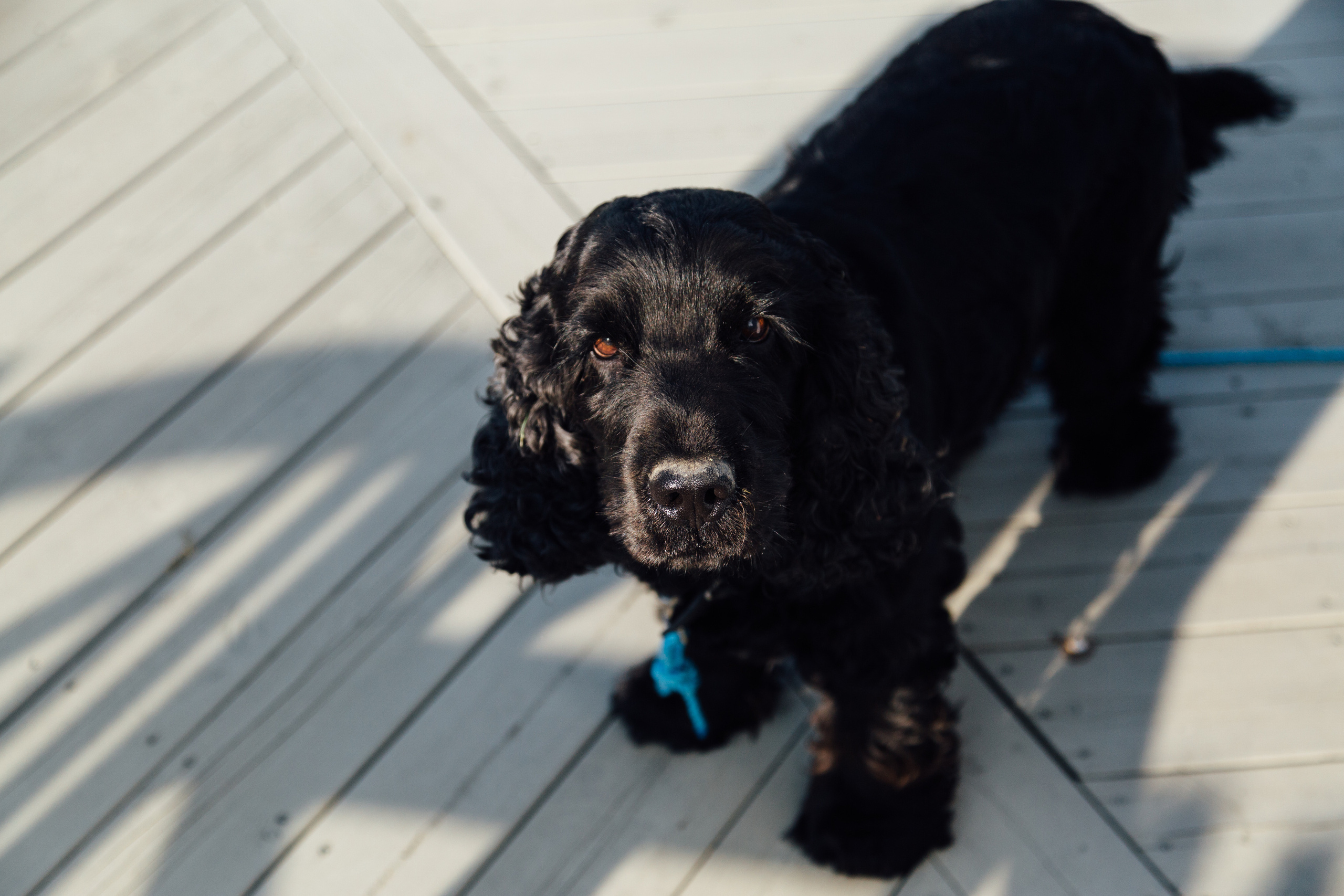 Однажды в Осло. Арина Мелехова фотограф Красная Поляна