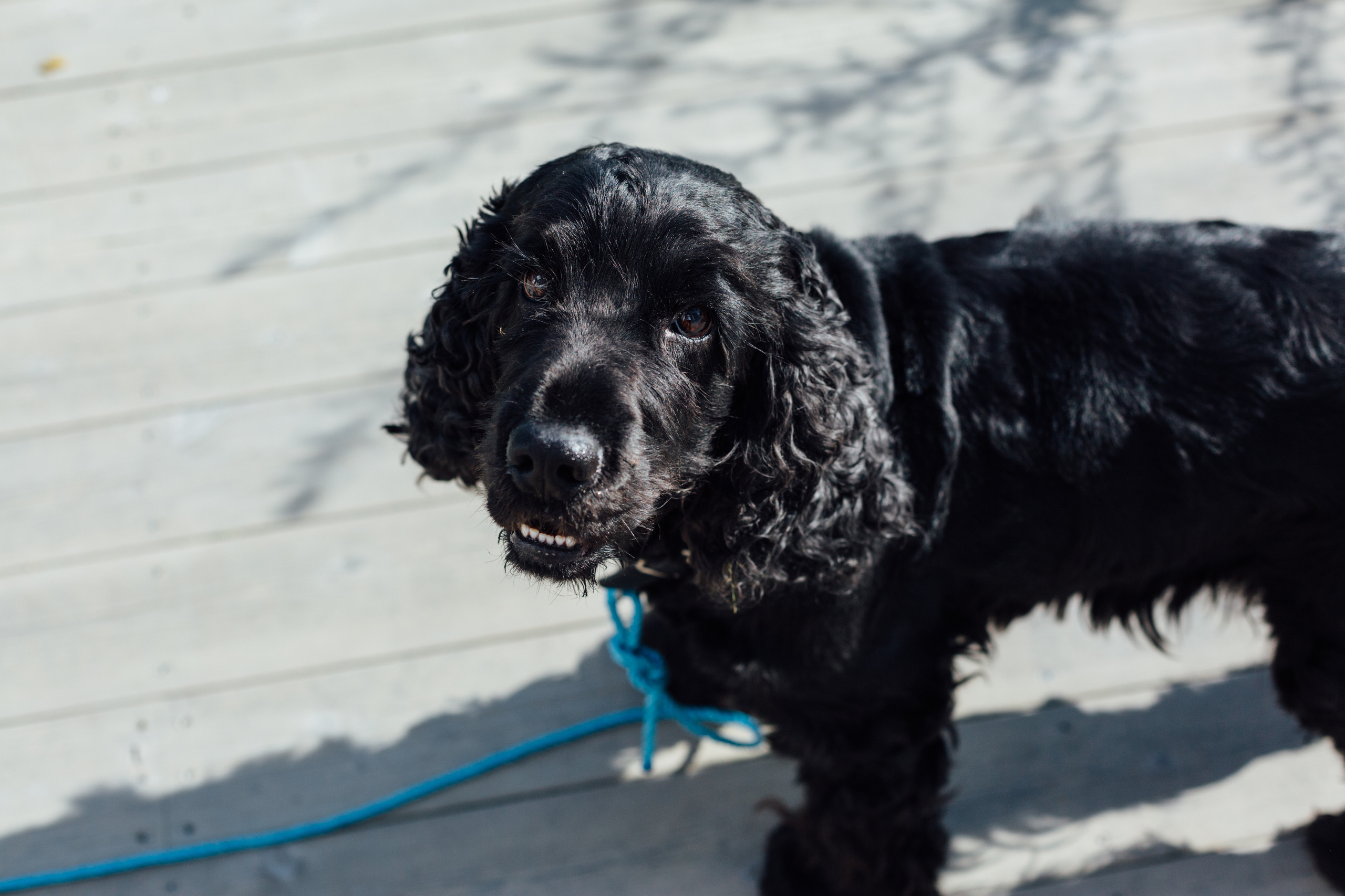 Однажды в Осло. Арина Мелехова фотограф Красная Поляна