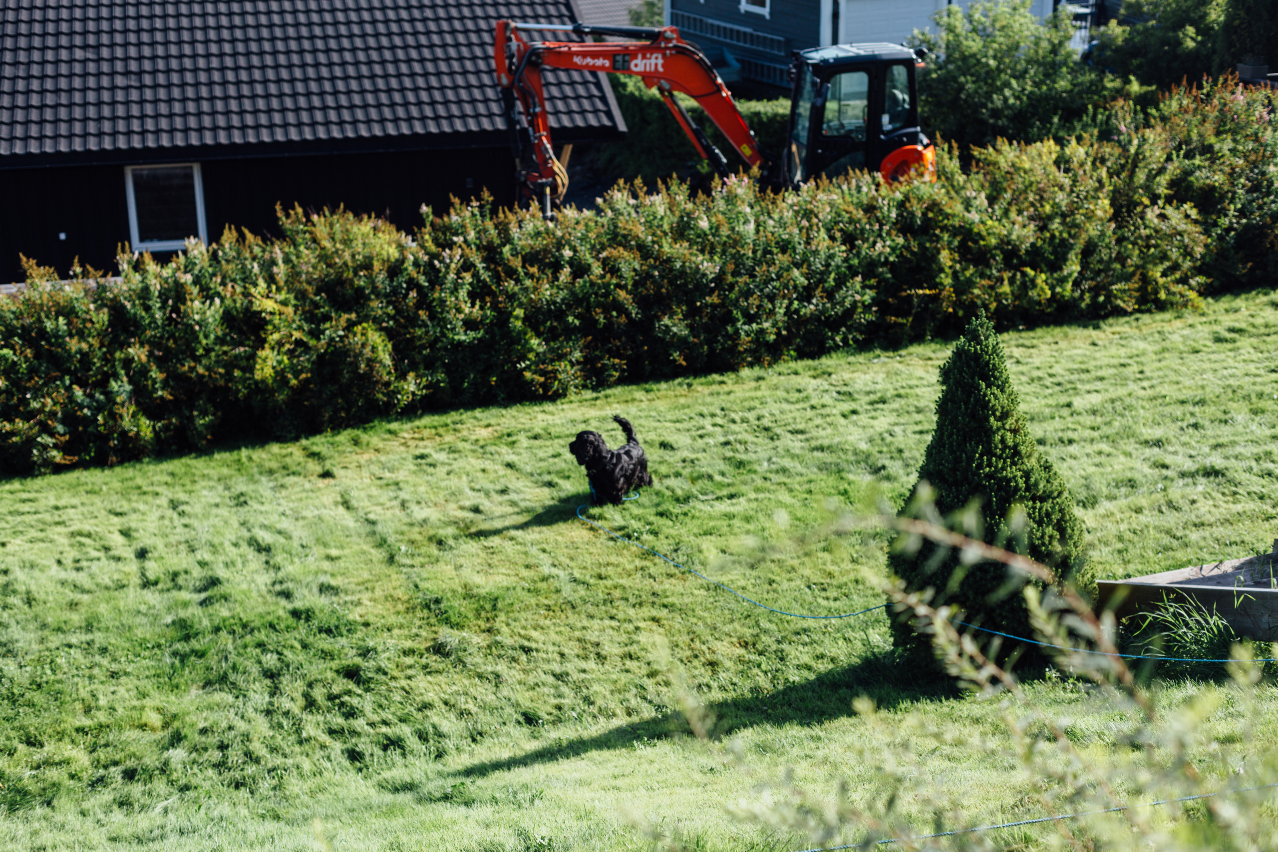 Однажды в Осло. Арина Мелехова фотограф Красная Поляна