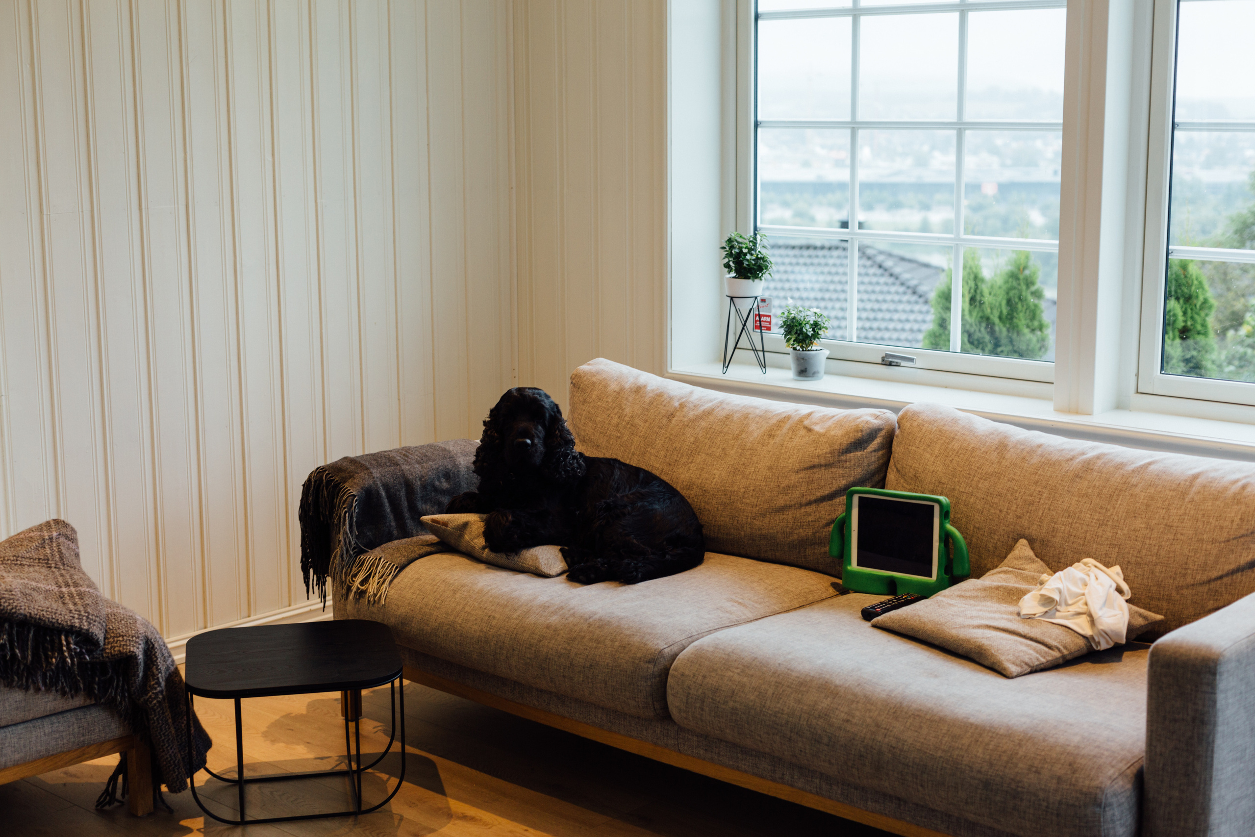 Однажды в Осло. Арина Мелехова фотограф Красная Поляна