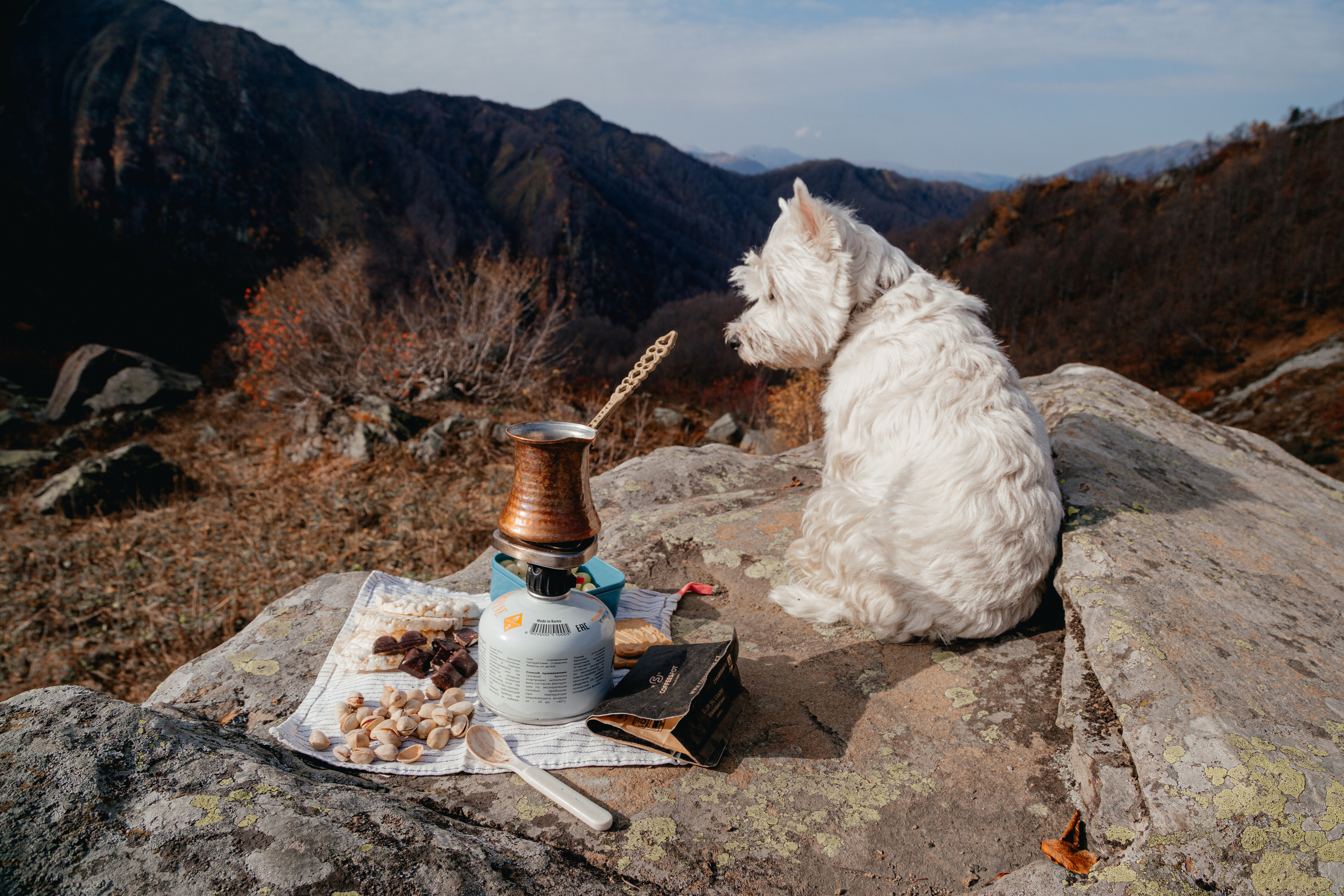 Пикник В Красной Поляне. Арина Мелехова фотограф Красная Поляна