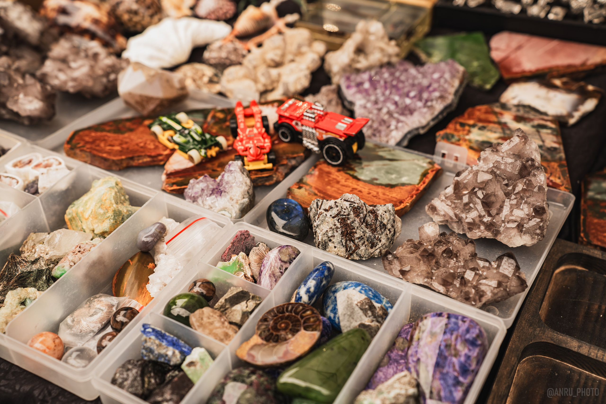 Выставка, гости на Nord fest. Репортажный фотограф Анастасия Рубцова