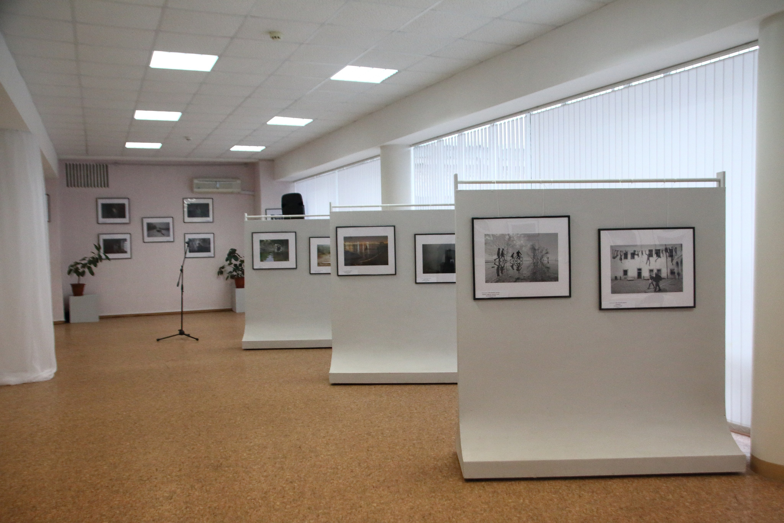 07.11.2019 Самарская обл., г. Отрадный. Самарский взгляд 2018-2019. Фотообъединение Самарского областного отделения Союза журналистов России