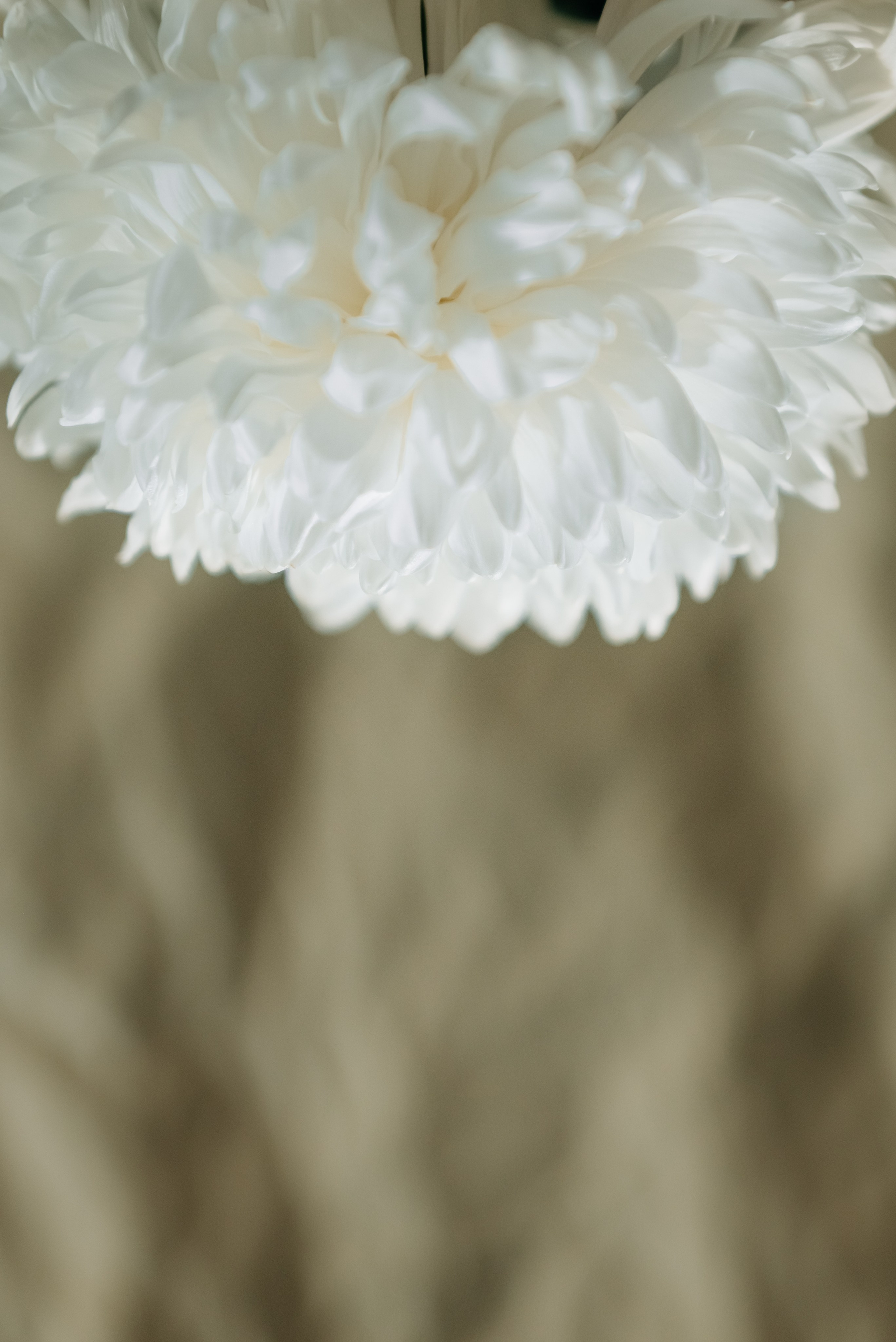 Алёна. Фотограф в Томске Мария Март