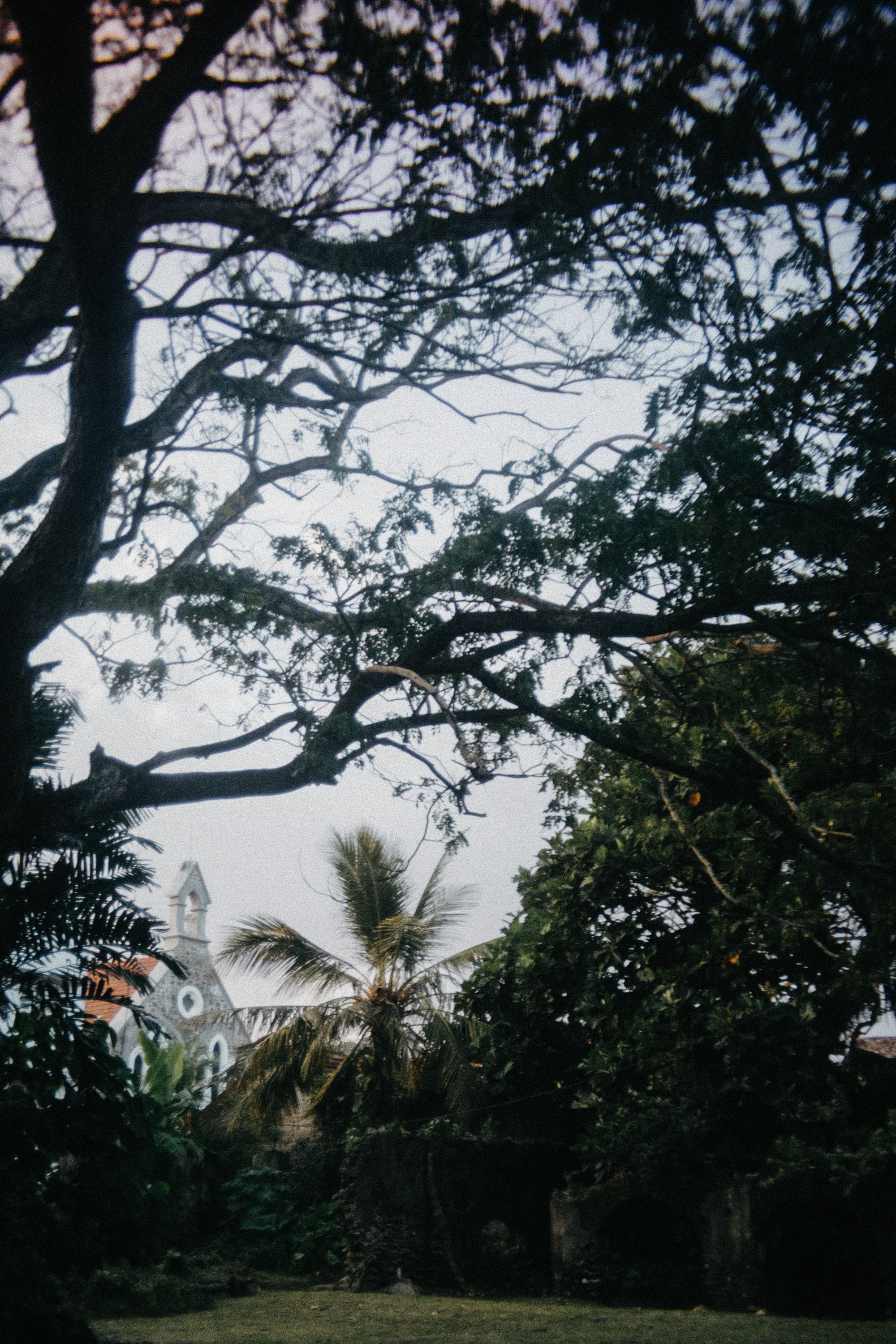 Шри + Бангкок. Фотограф Тбилиси Саша Мороз