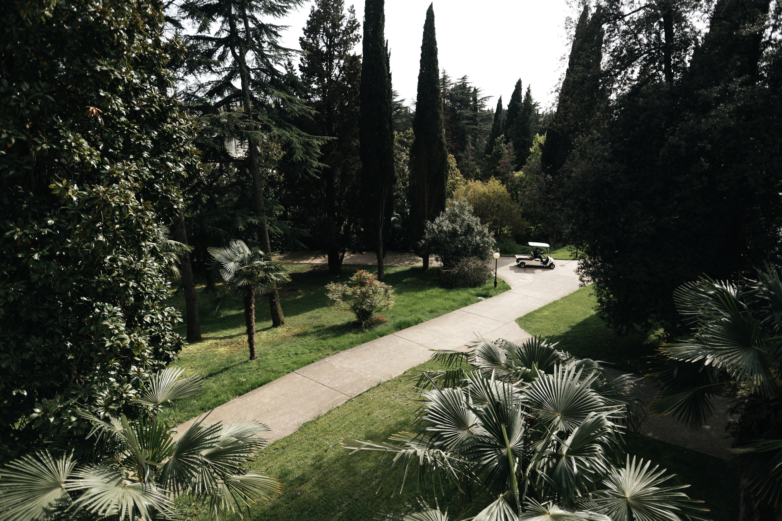 Владимир и Анна Сочи. Свадебный фотограф в Ростове-на-Дону Тарасенко Константин