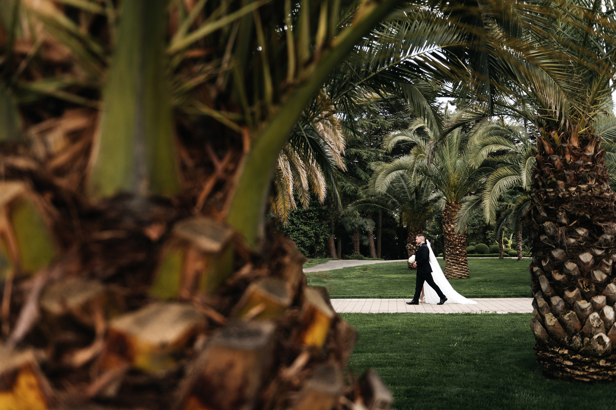 Владимир и Анна Сочи. Свадебный фотограф в Ростове-на-Дону Тарасенко Константин