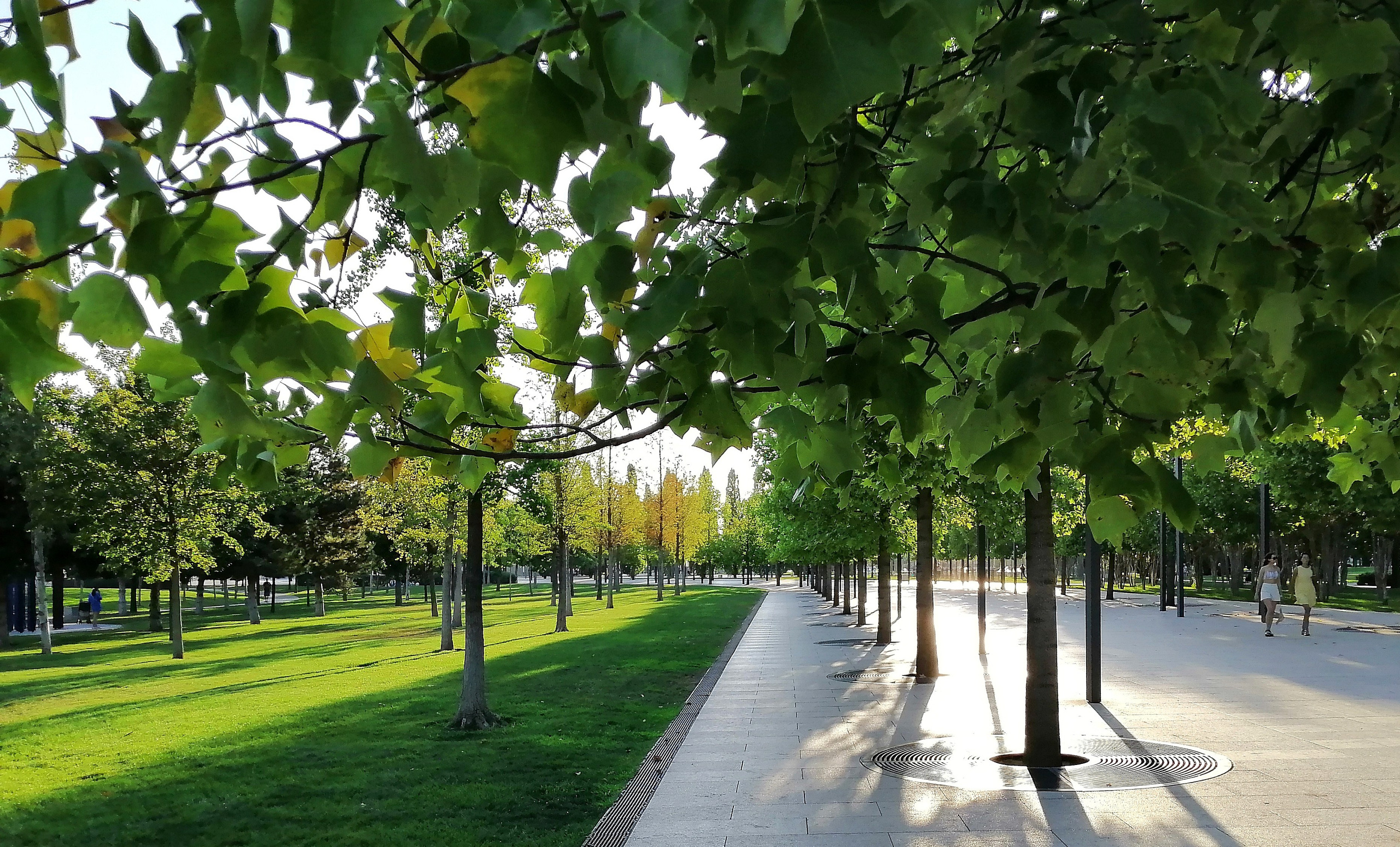 Парк Краснодар (парк Галицкого). Фотограф Славянск на Кубани