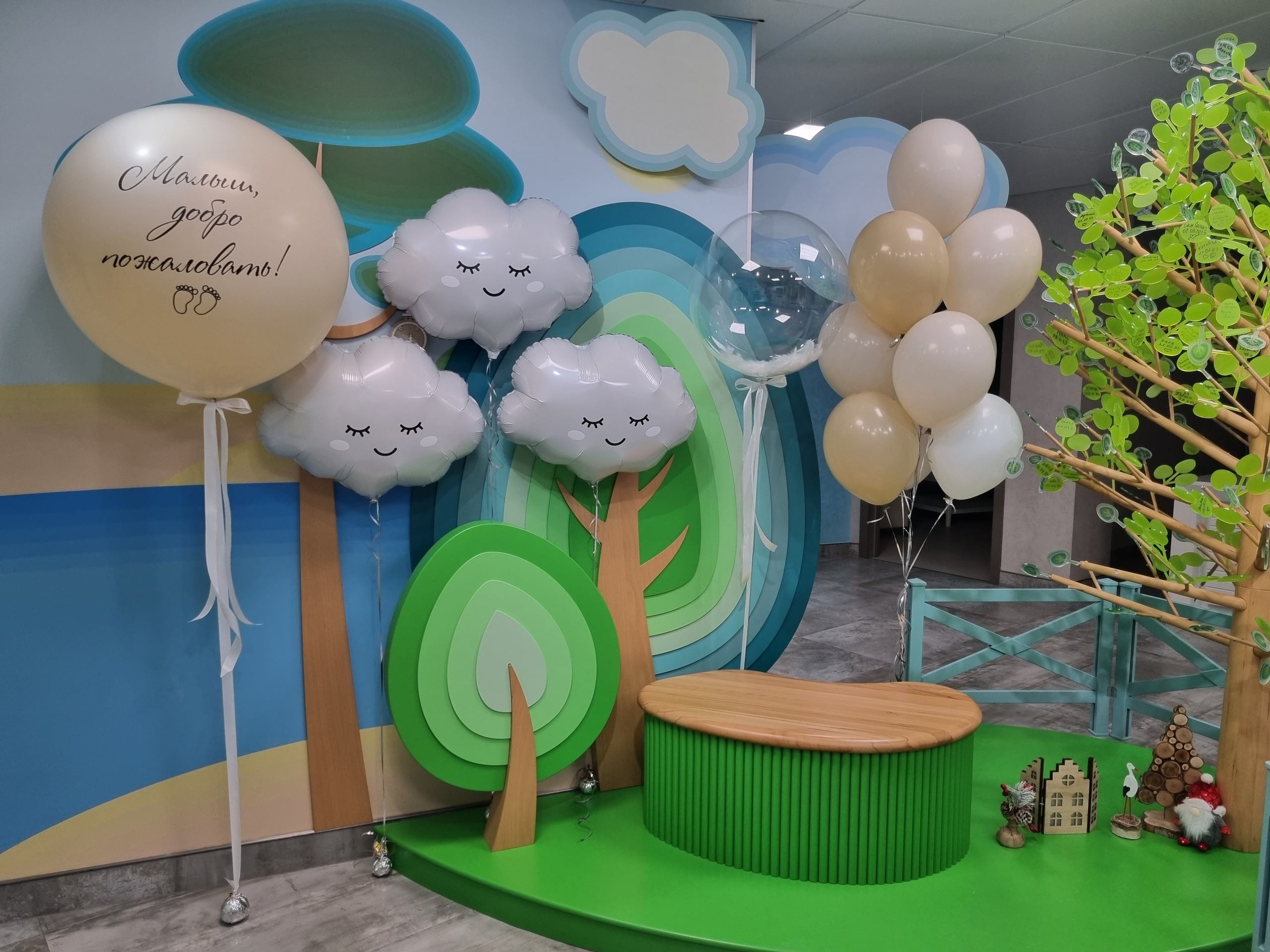 Фотограф в роддоме Сестрорецком г. Санкт-Петербург Банасиковская Ксения