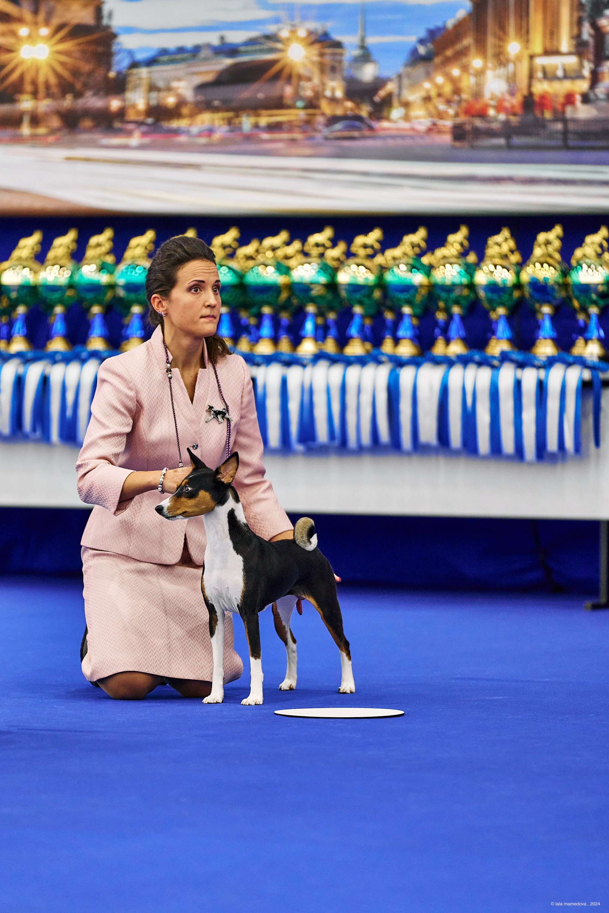 РЕЙТИНГОВАЯ ВЫСТАВКА СОБАК ВСЕХ ПОРОД С ОСОБЫМ СТАТУСОМ"НЕВСКИЙ ПОБЕДИТЕЛЬ-2024-1"