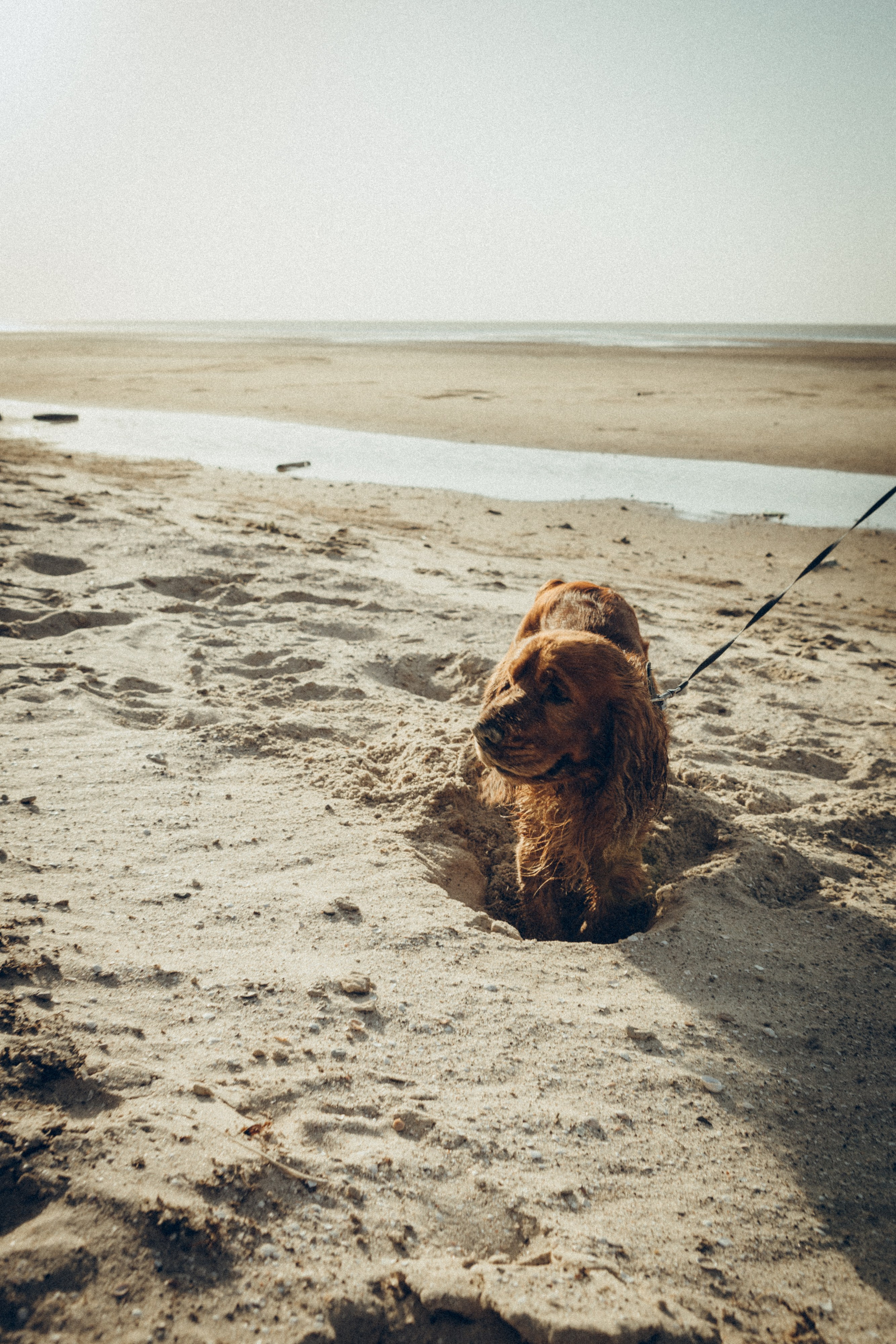 Family moment 💫. Семейный фотограф и фотограф на роды в Ростове-на-Дону Мухина Виктория