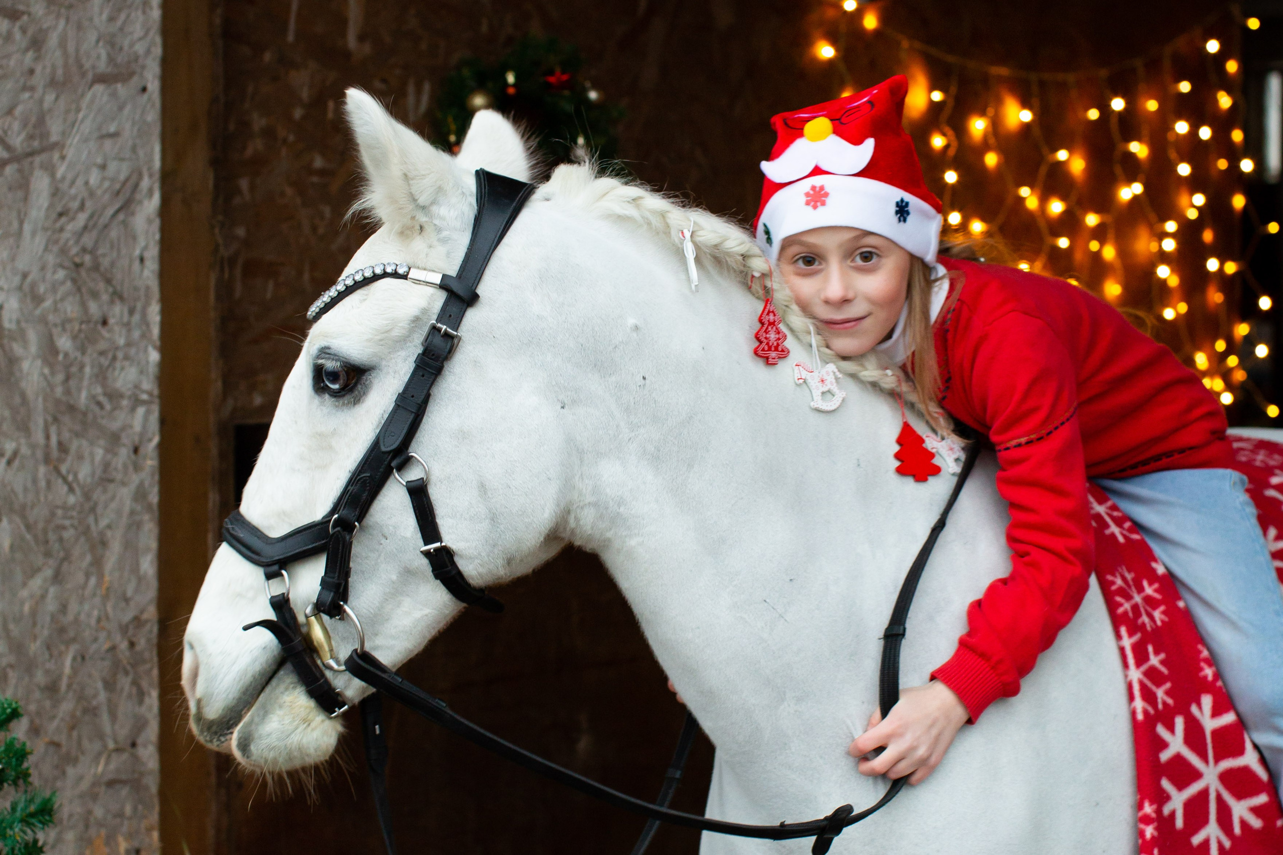Конные фотосессии (съёмки с лошадьми). Главная