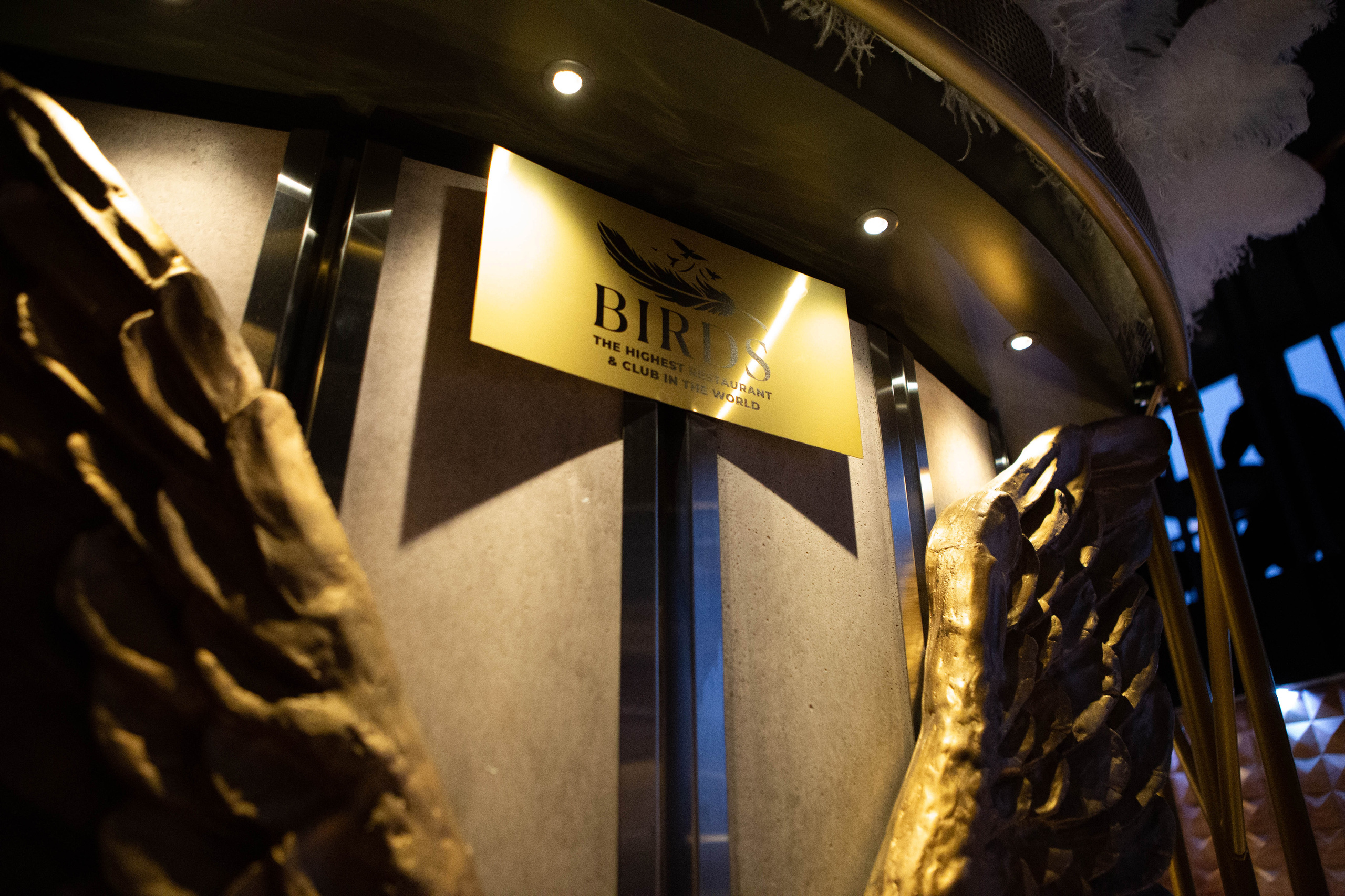 ANGELINA&NIKOLAI. Фотограф Абакумова Анастасия