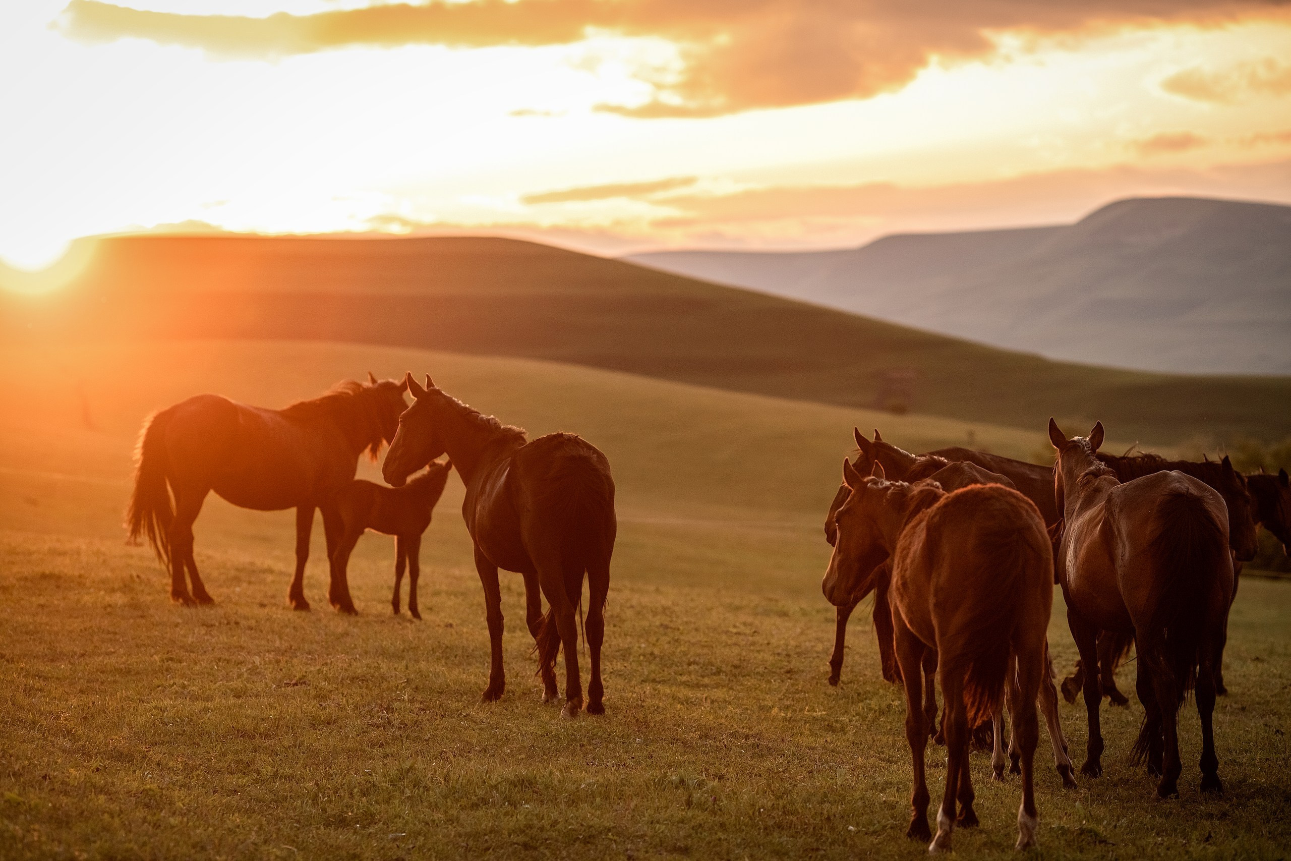 Майское закатное. BrisArts
