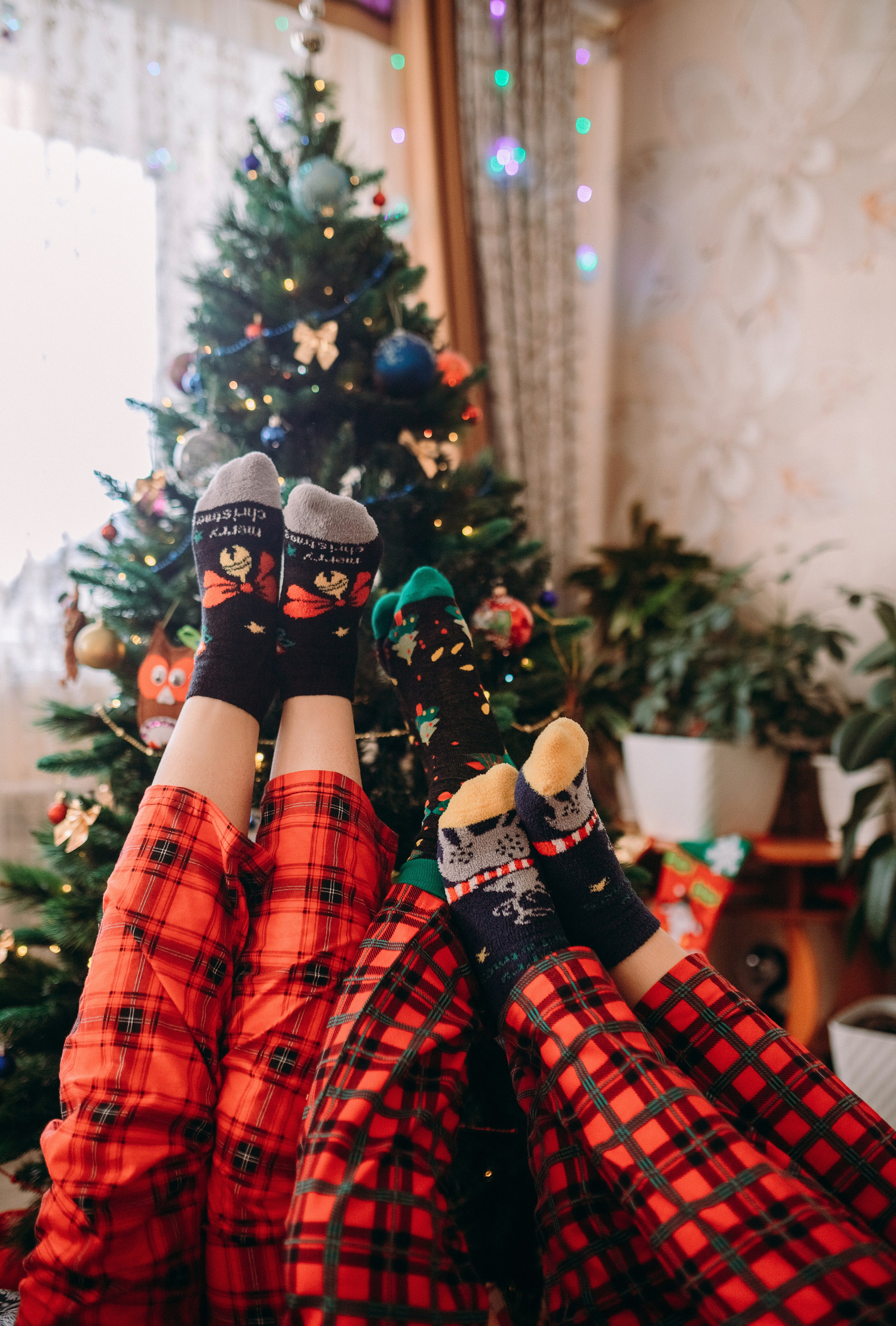 Домашние истории. Фотограф Комсомольск-на-Амуре Ольга Василенко