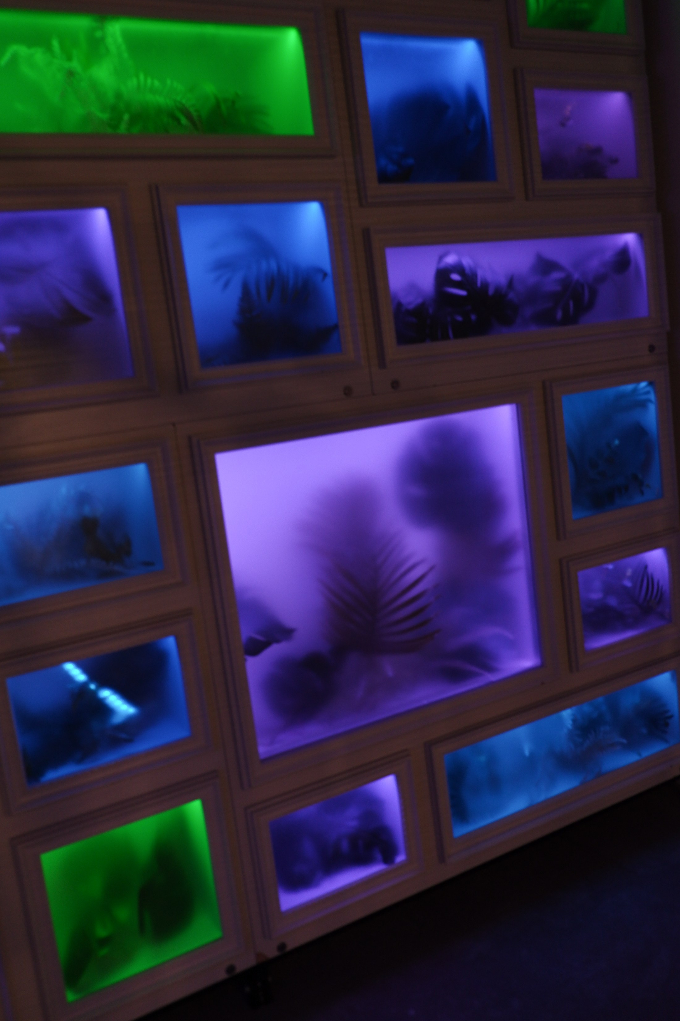 Антиутопия в цветах. Фотограф | Александр Очковский