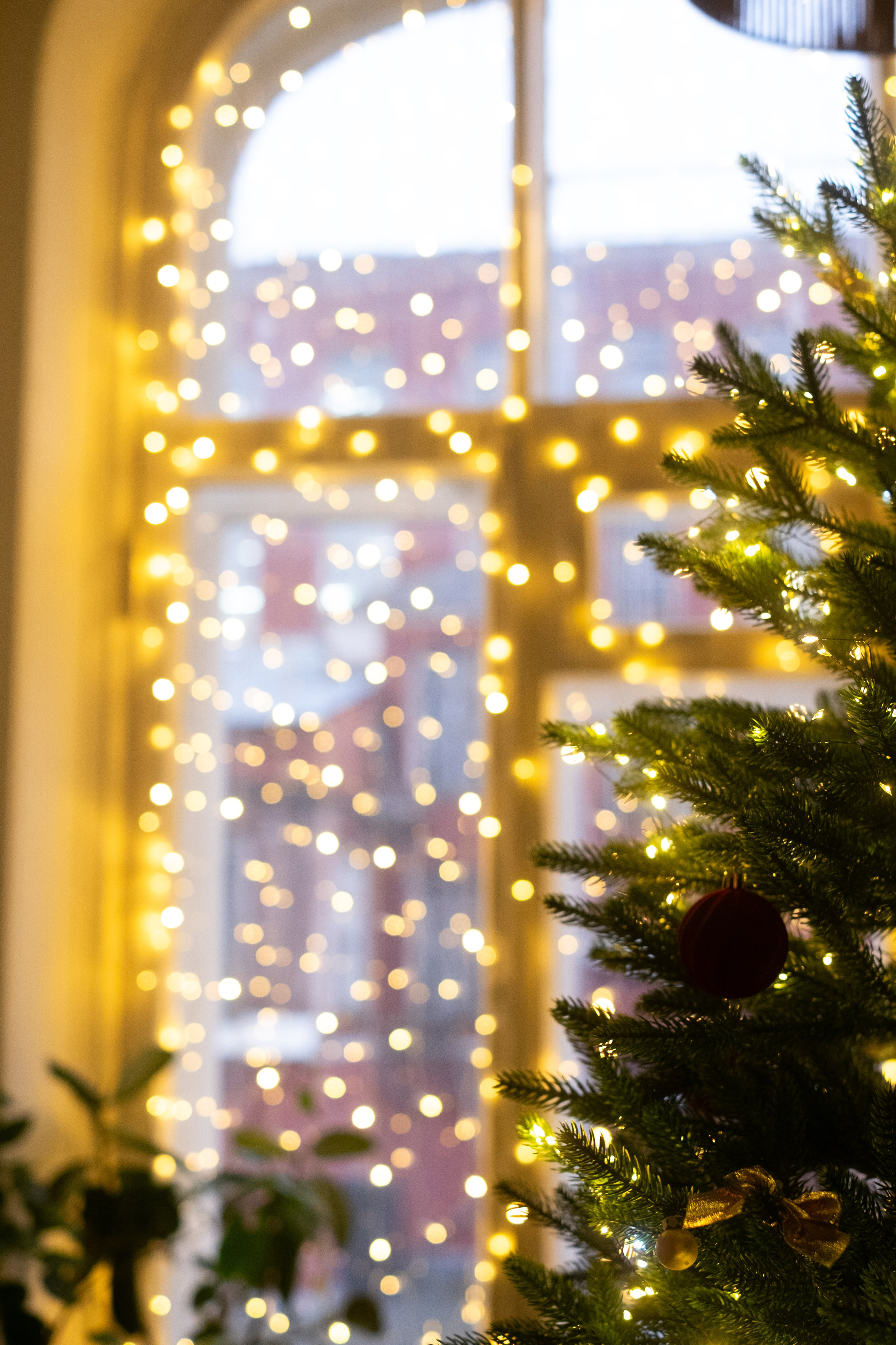 Живая Студия. Фототерапия «Пульс СЧАСТЬЯ»