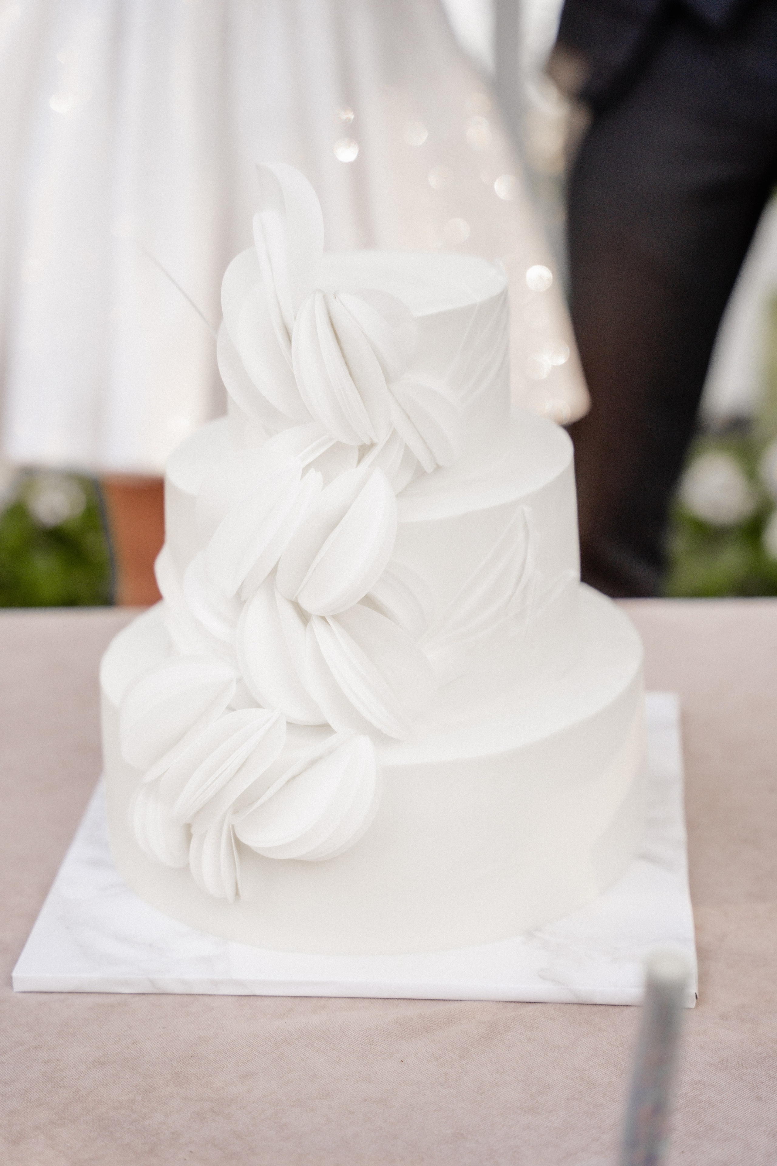 Andrei & Dasha. Dolce_wedding