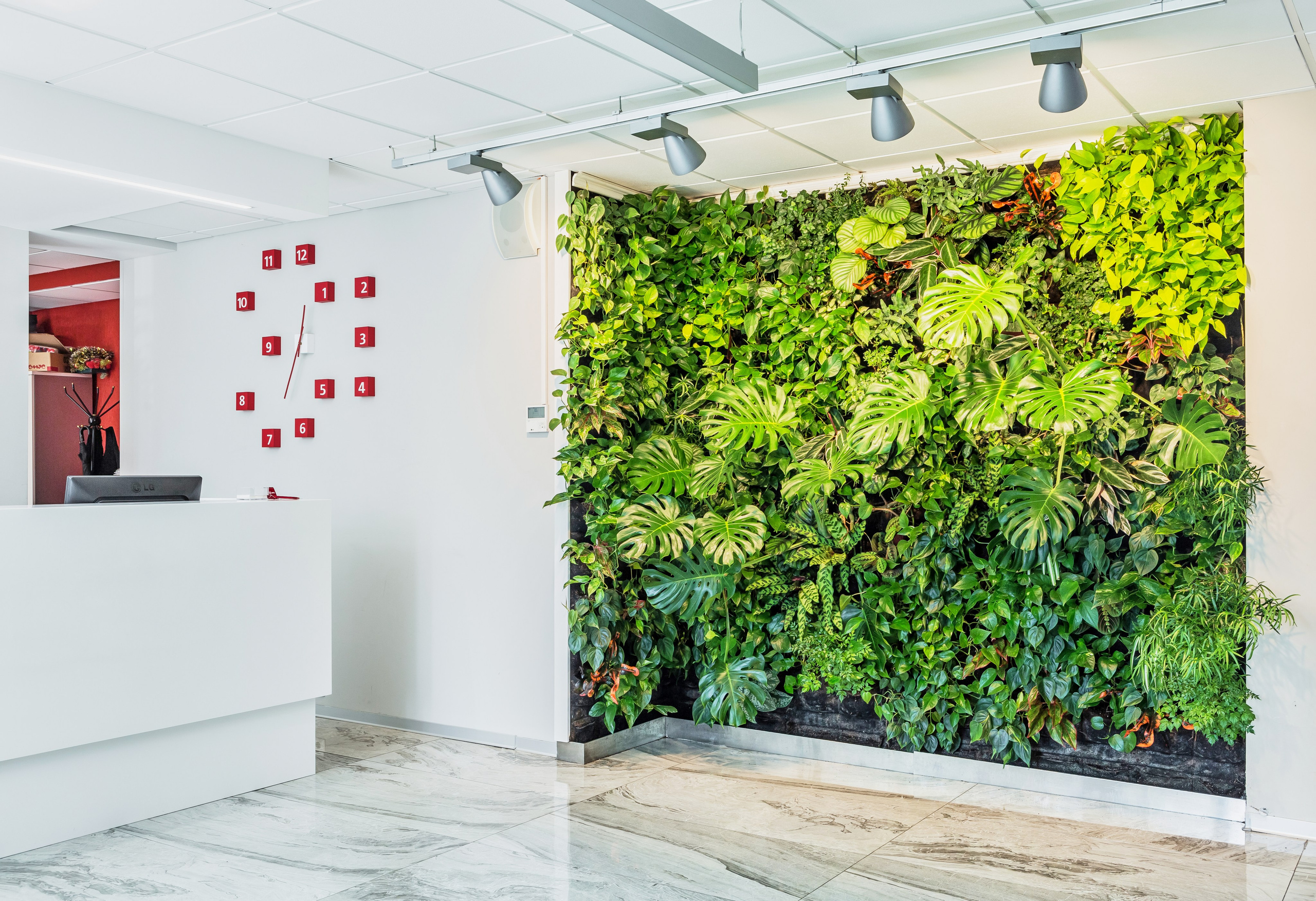 Озеленение ГК Techo. Фото и видео съемка в Сочи Адлере Красной поляне