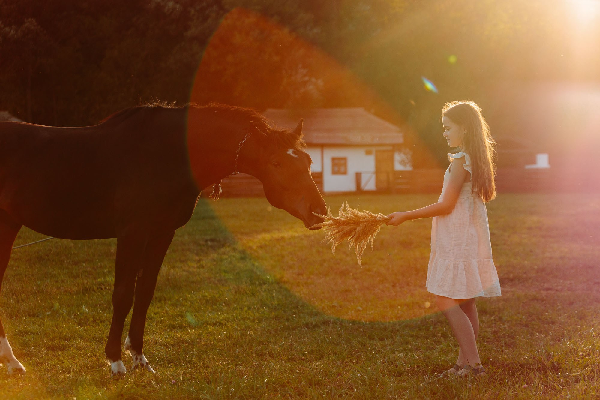MiLer. Свадебный и портретный фотограф в Липецке Станислав Истомин