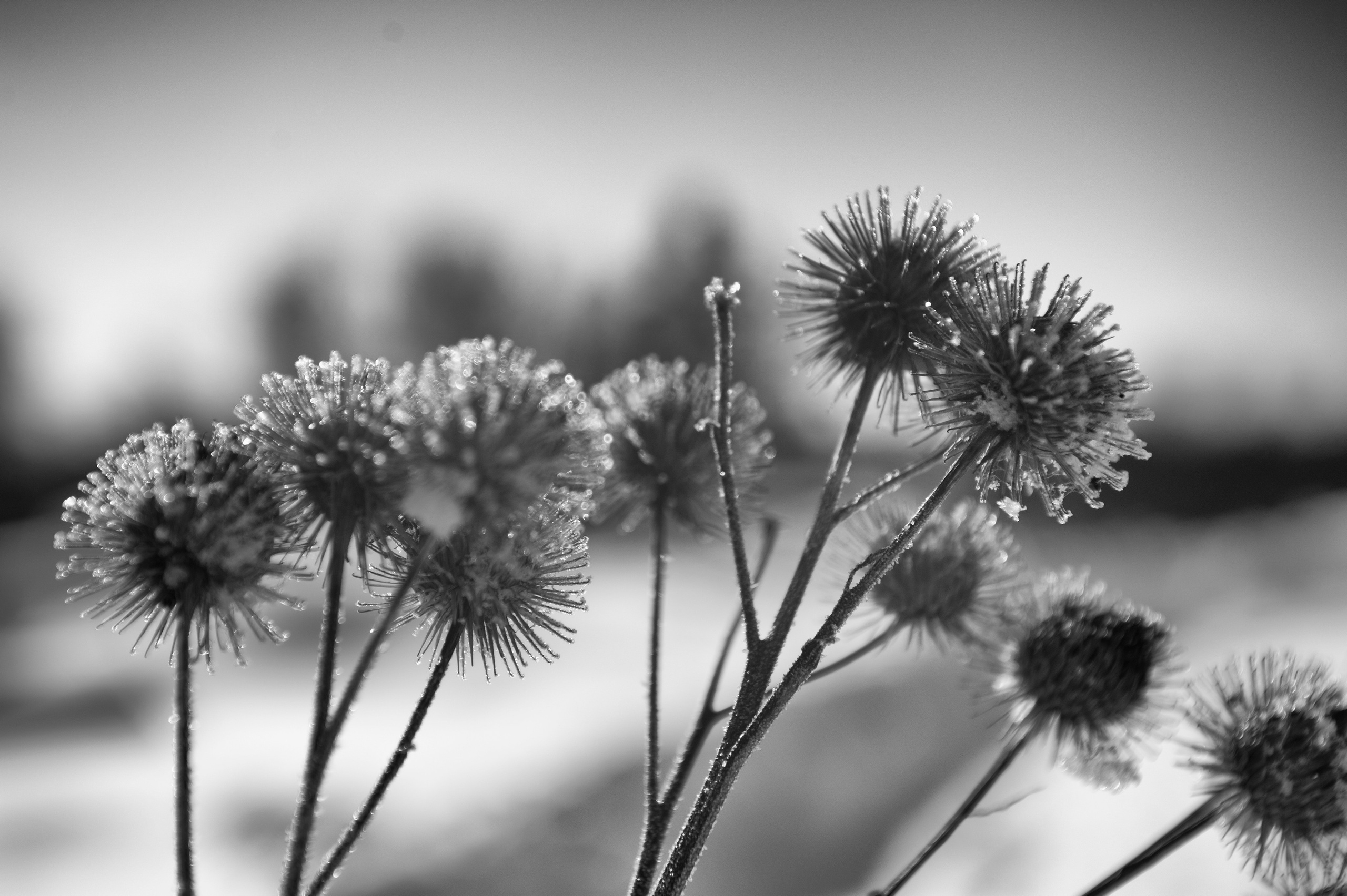 Монохром. Фотограф Милена ЯновскаяМеня зовут Милена Яновская. Я фотограф и автор арт-фототерапевтических проектов