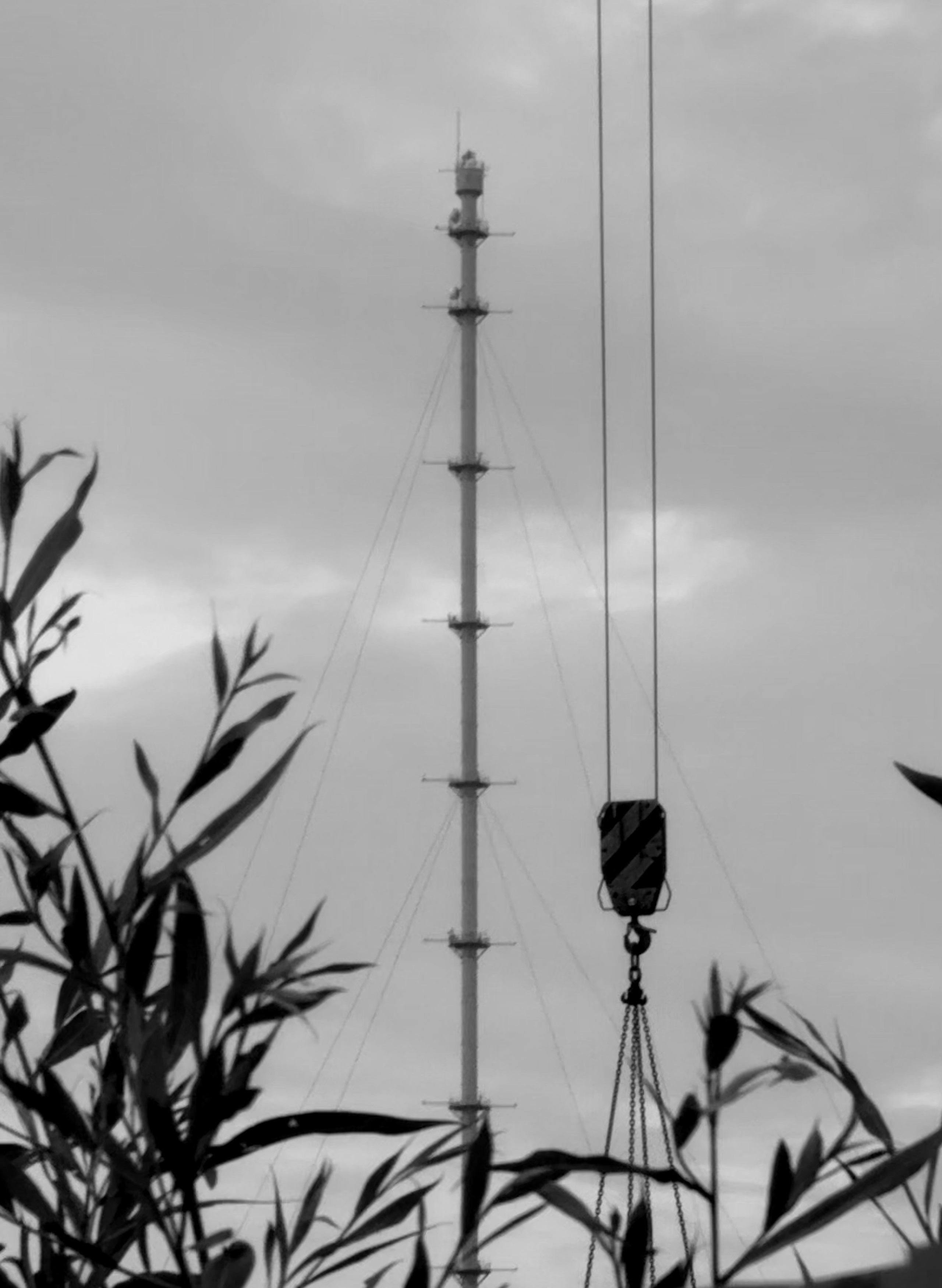 Уличный. Фотограф Арсений Королев