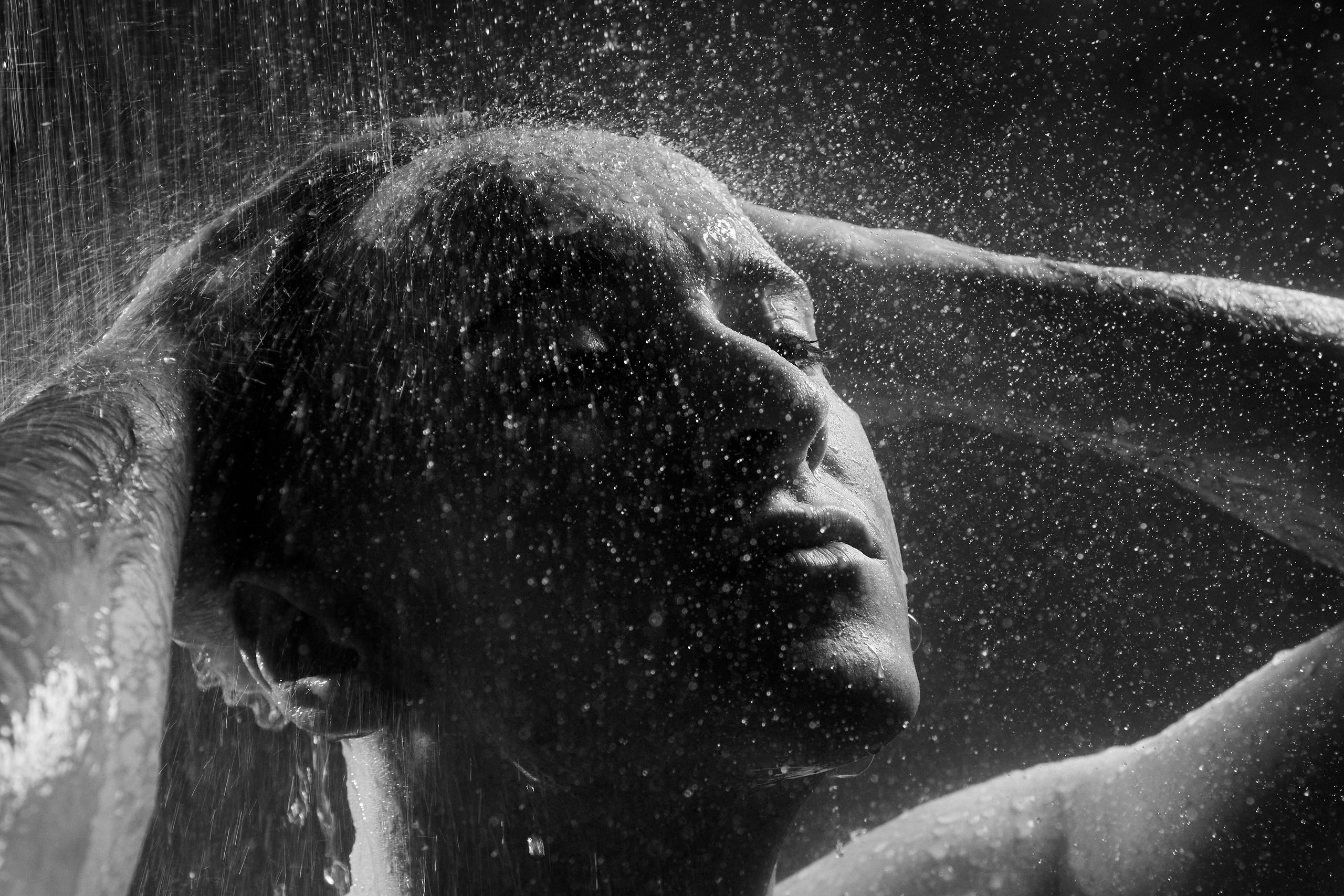 Портреты и Проекты