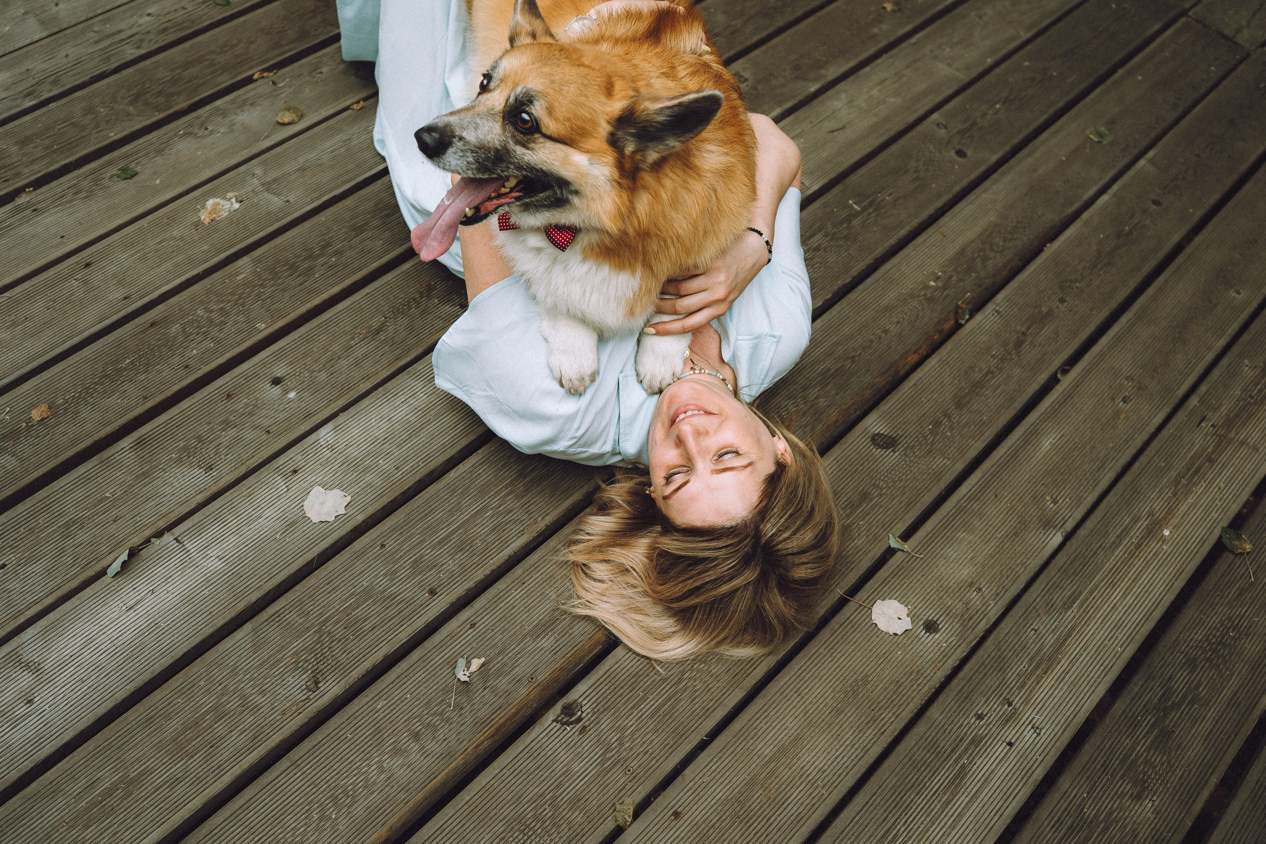 Ира, Леша и Харли